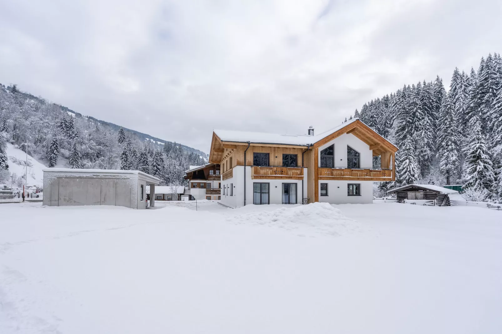 Saalach Penthouse 67-Exterior winter