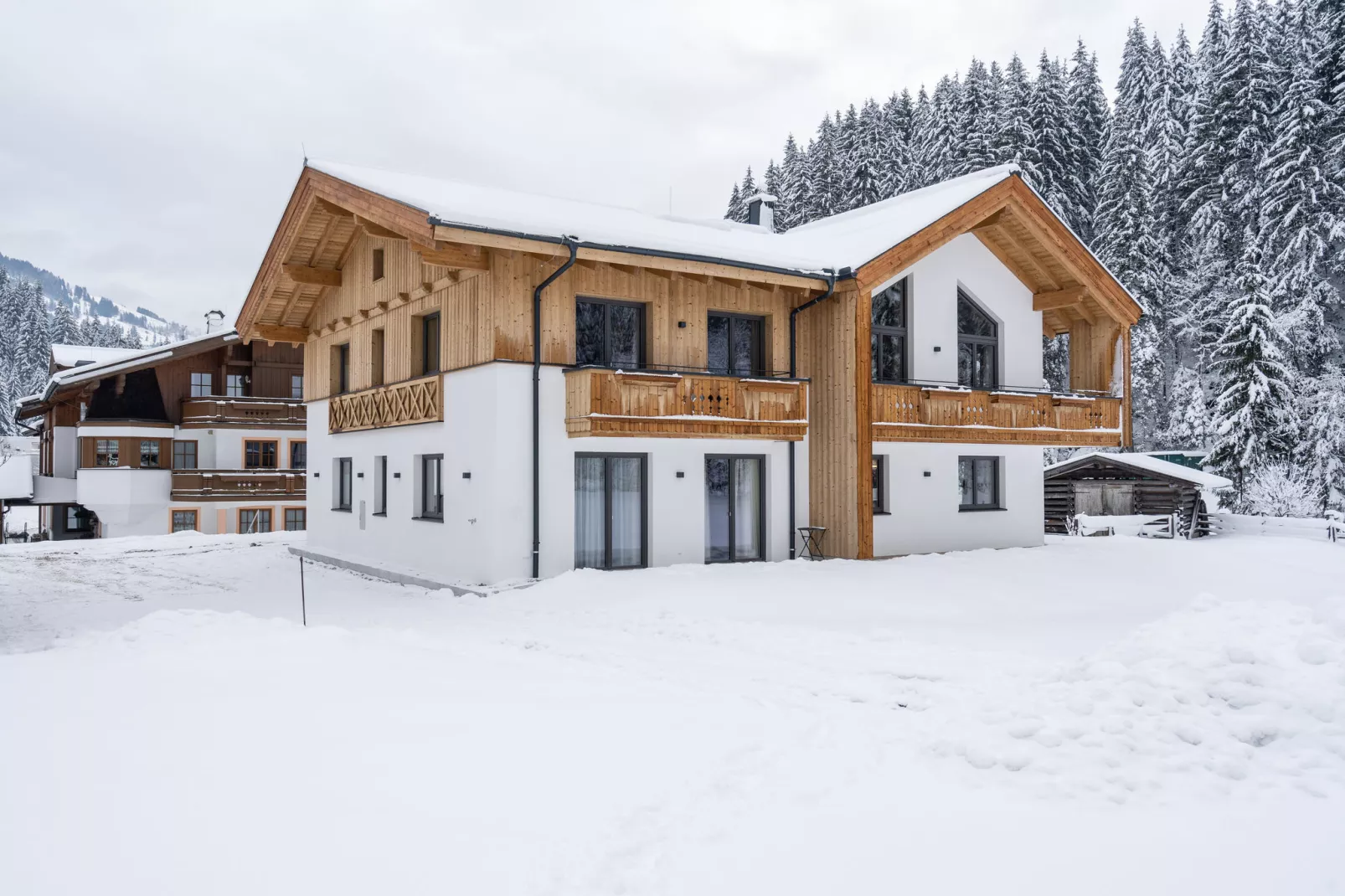 Saalach Appartement 4-Exterior winter
