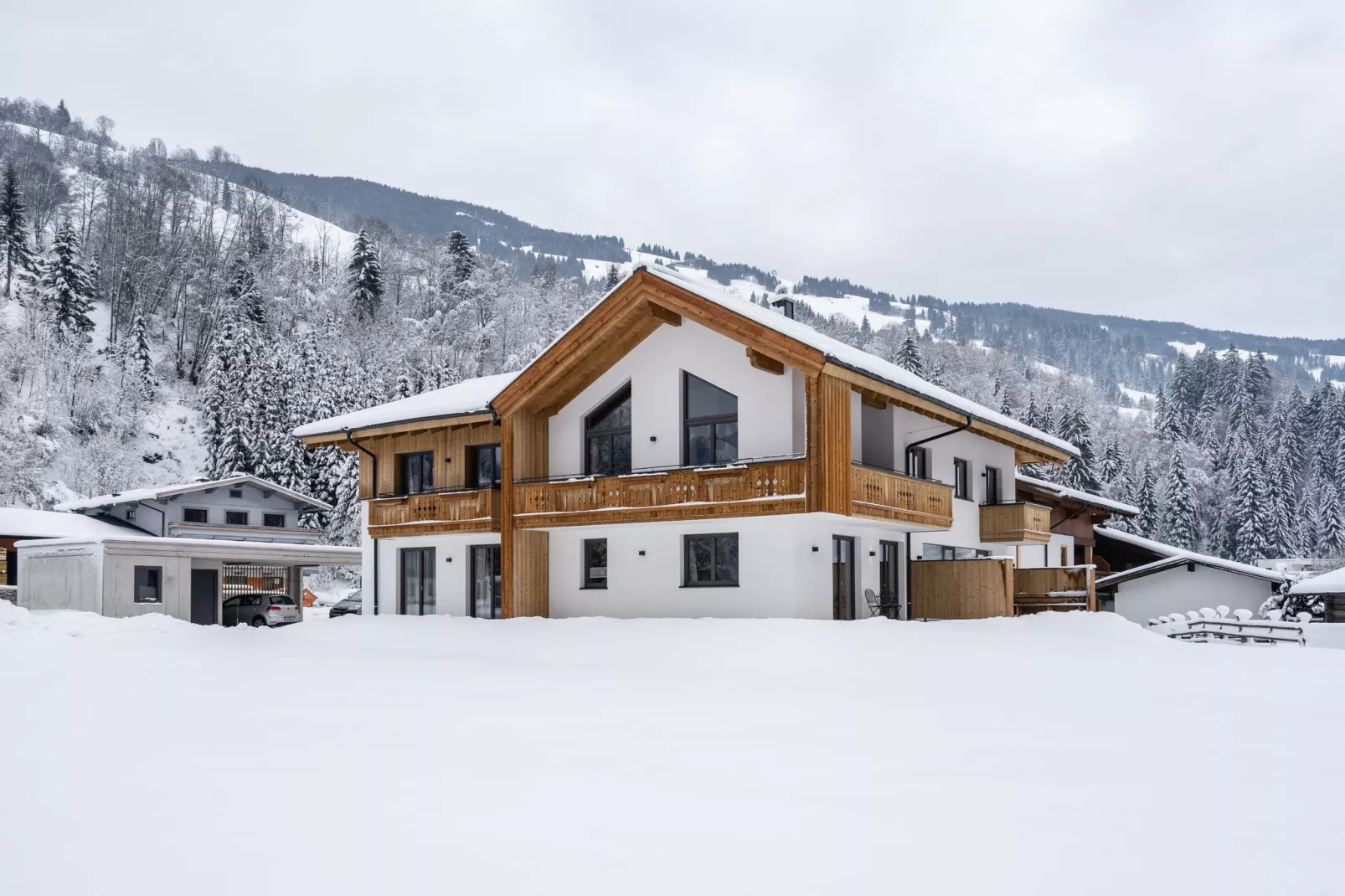 Saalach Appartement 4-Exterior winter