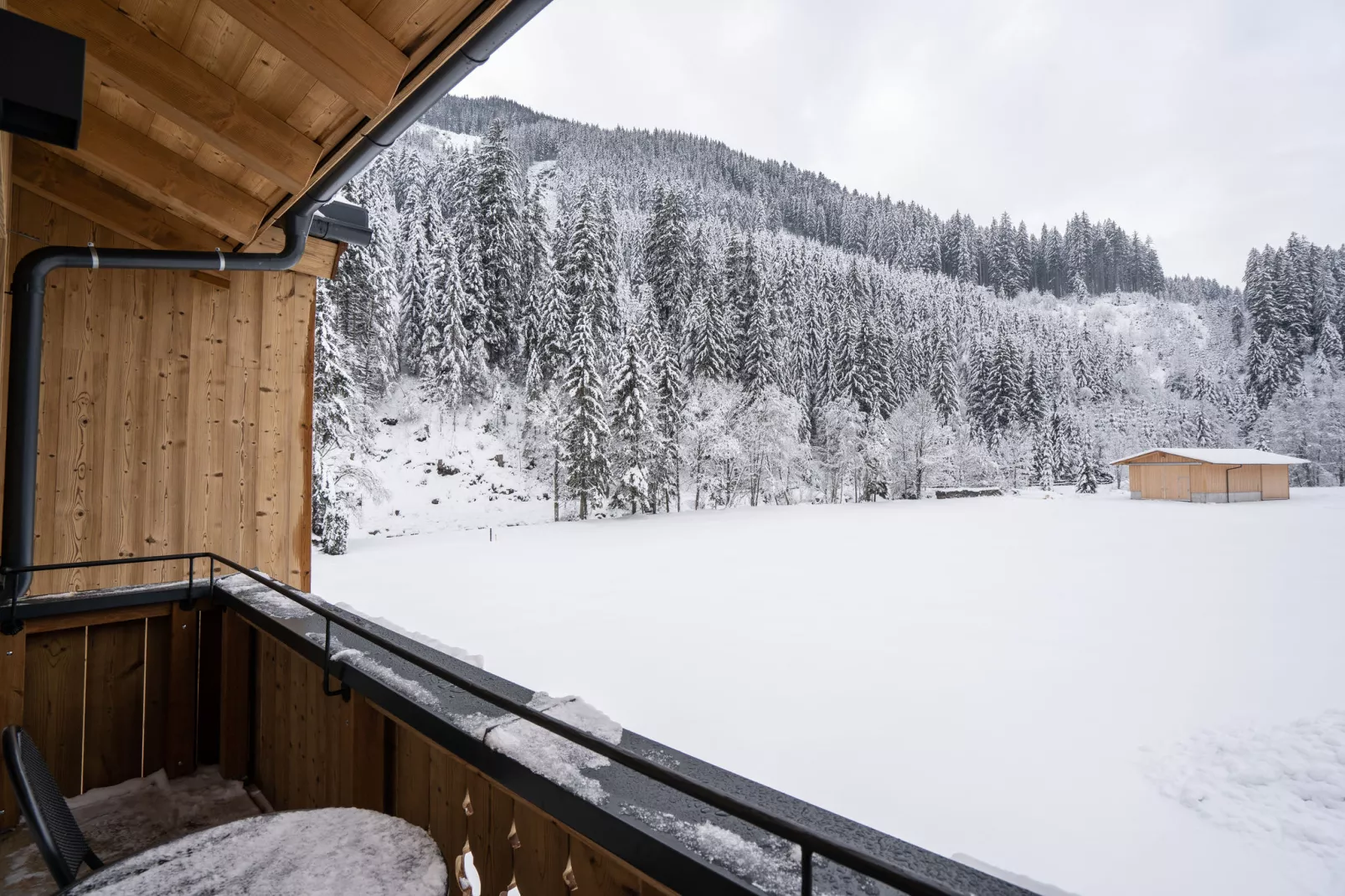 Saalach Appartement 4-View winter