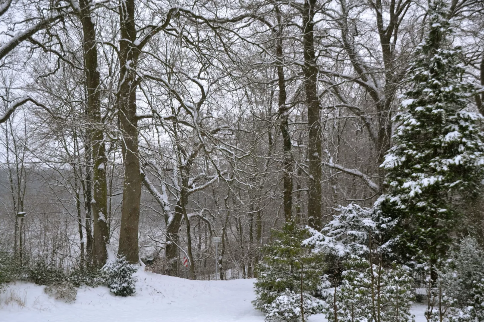 Ferienwohnung in Ostholsteinischen Schweiz-View winter