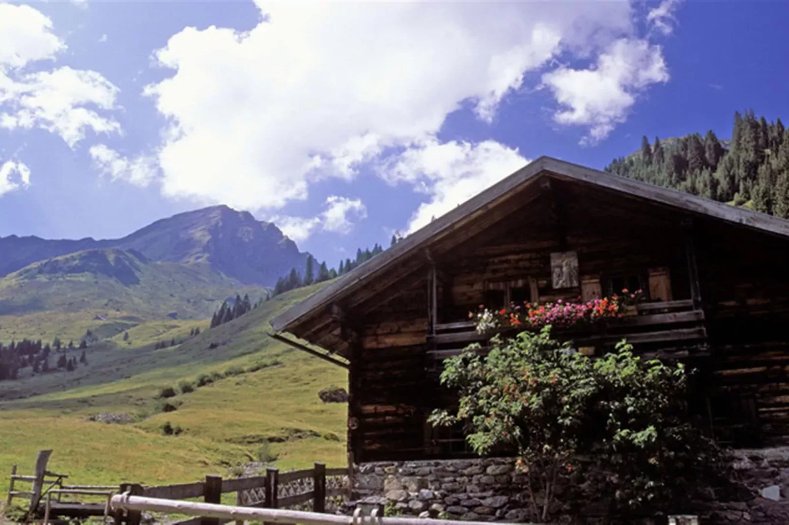 Saalach Appartement 4-Areas summer 5km