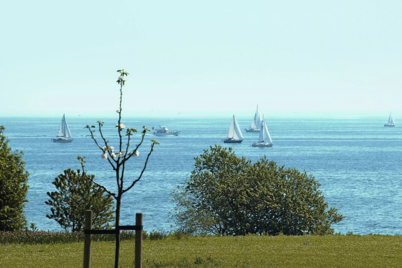 Hansapark Resort am Meer 5-Areas summer 1km