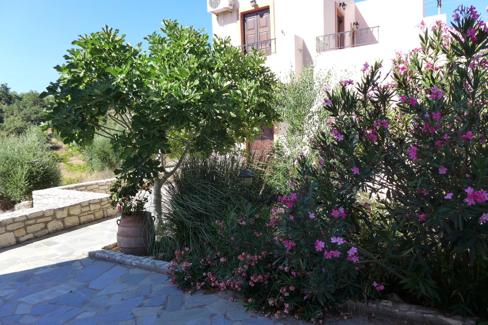 Villa Olga-Exterior summer