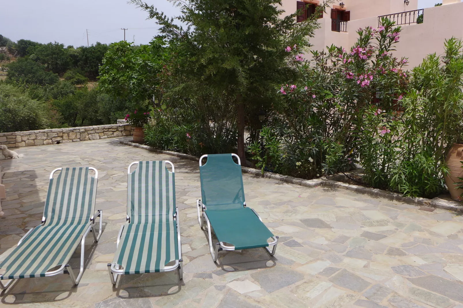 Villa Olga-Gardens summer