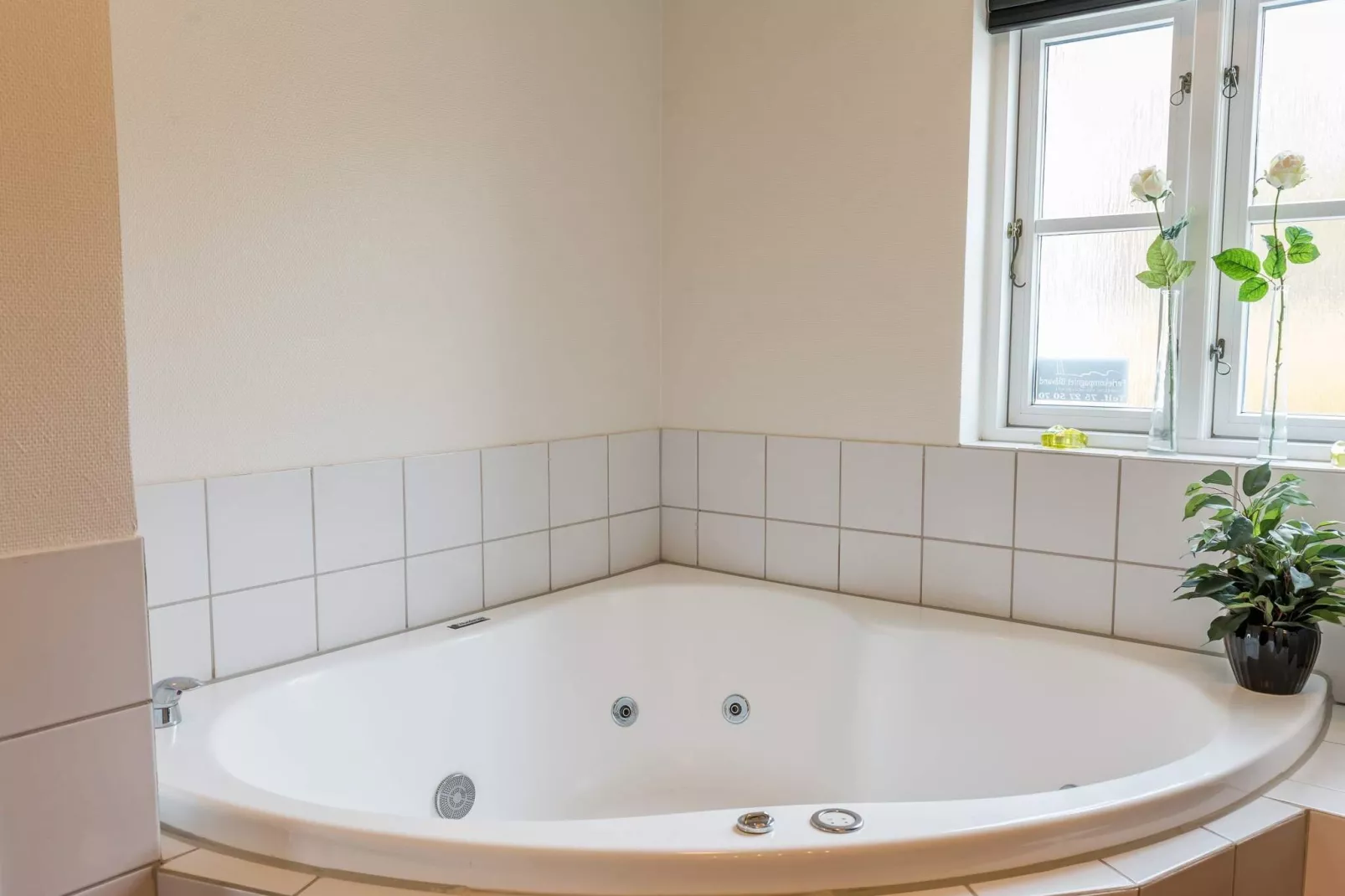 4 Personen Ferienhaus in Blåvand-Wellnessbereich