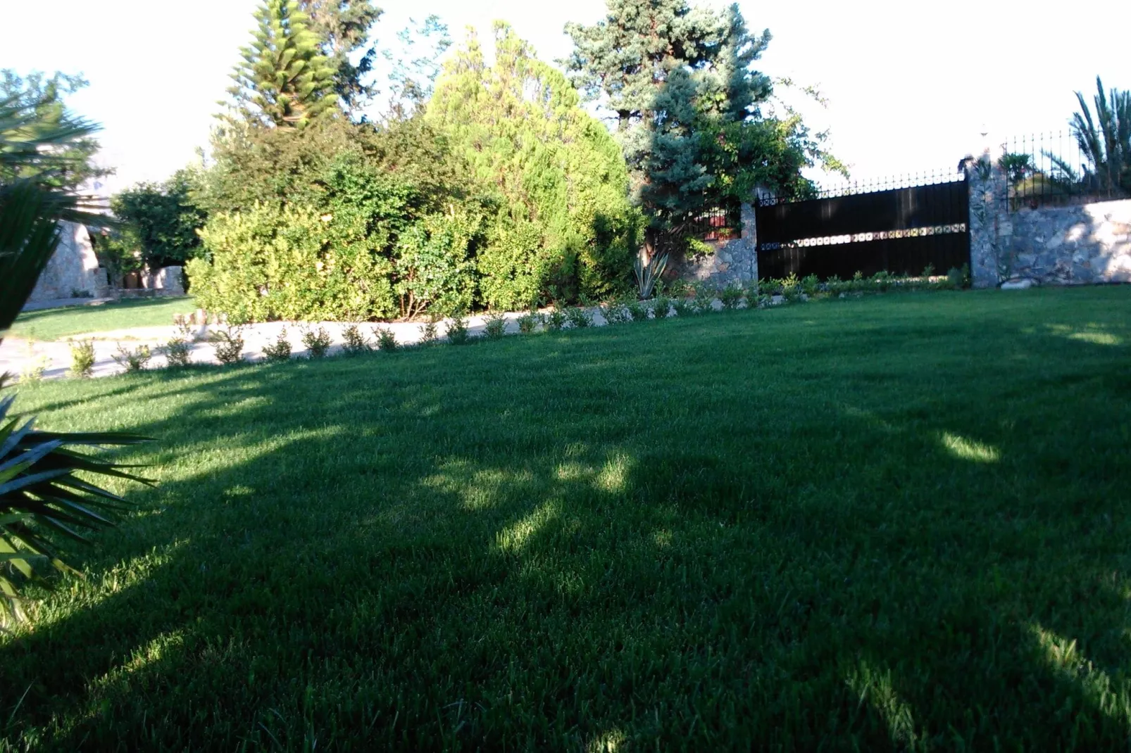 Villa Thymari-Gardens summer