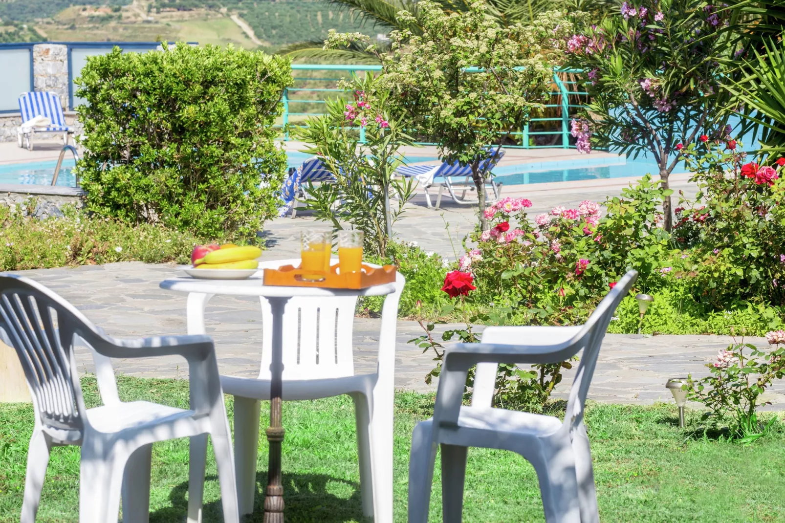 Villa Thymari-Gardens summer