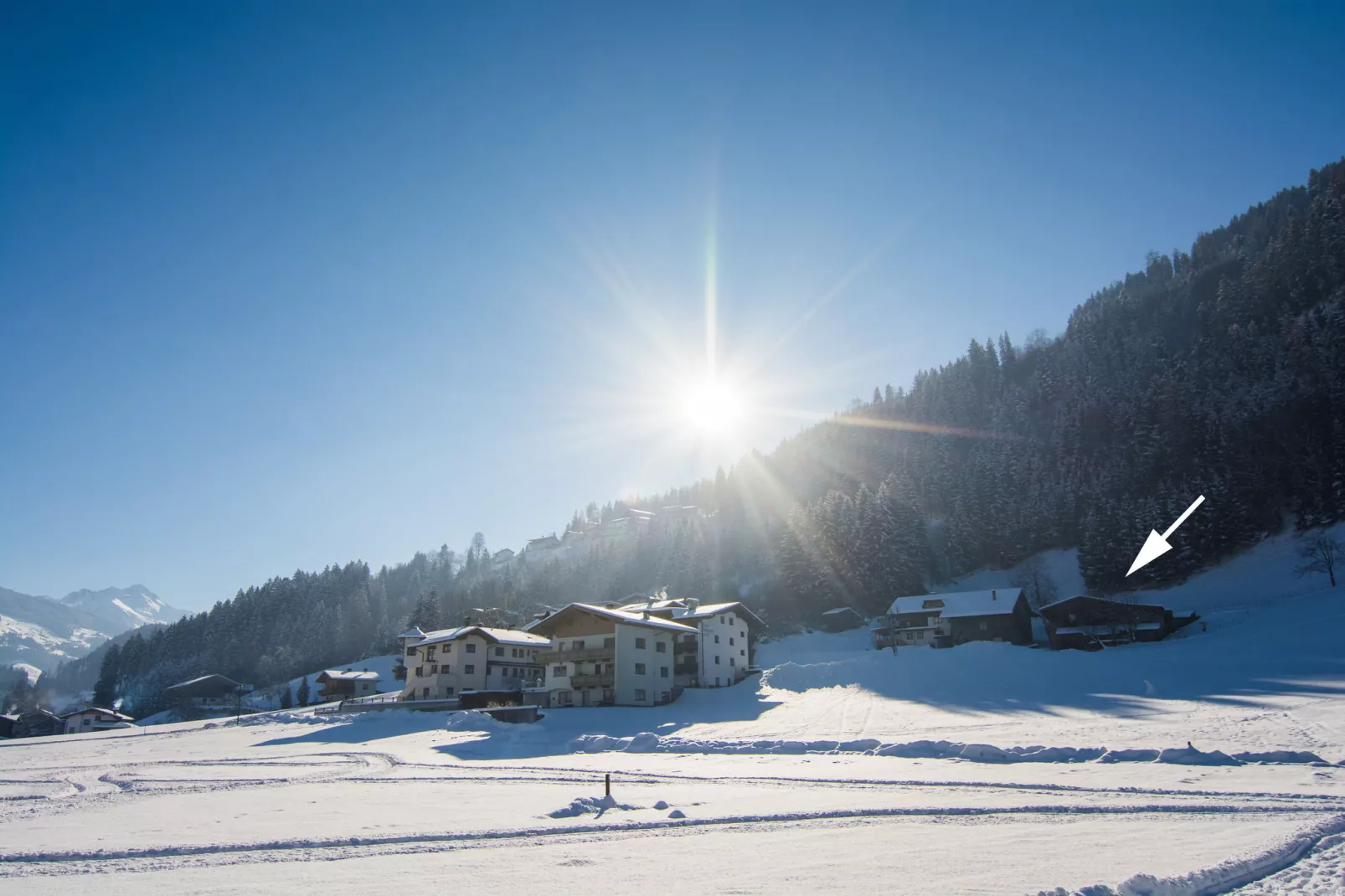 Reisrachhof - App 2-Areas summer 1km