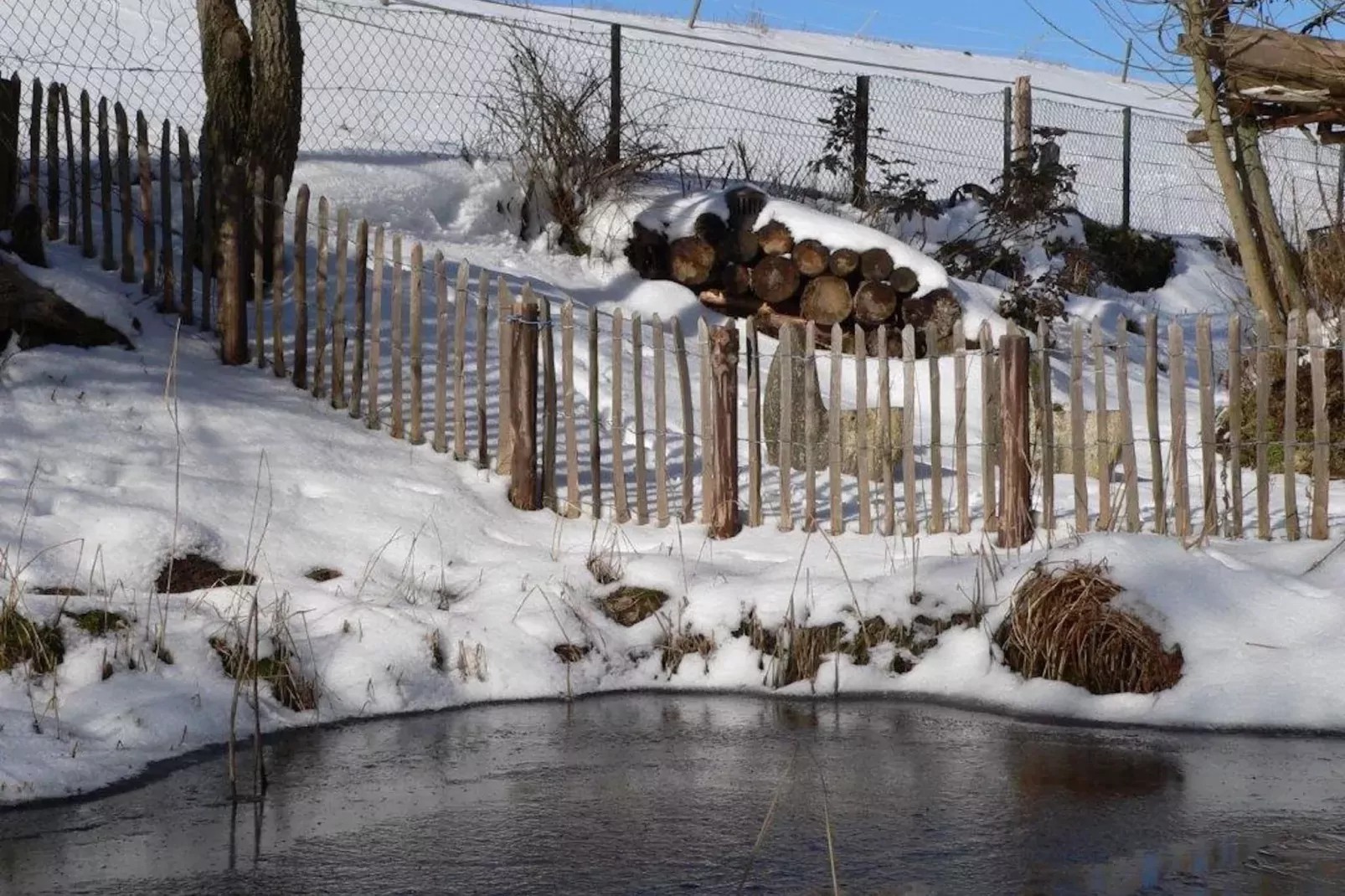 Sauerland-Garden winter