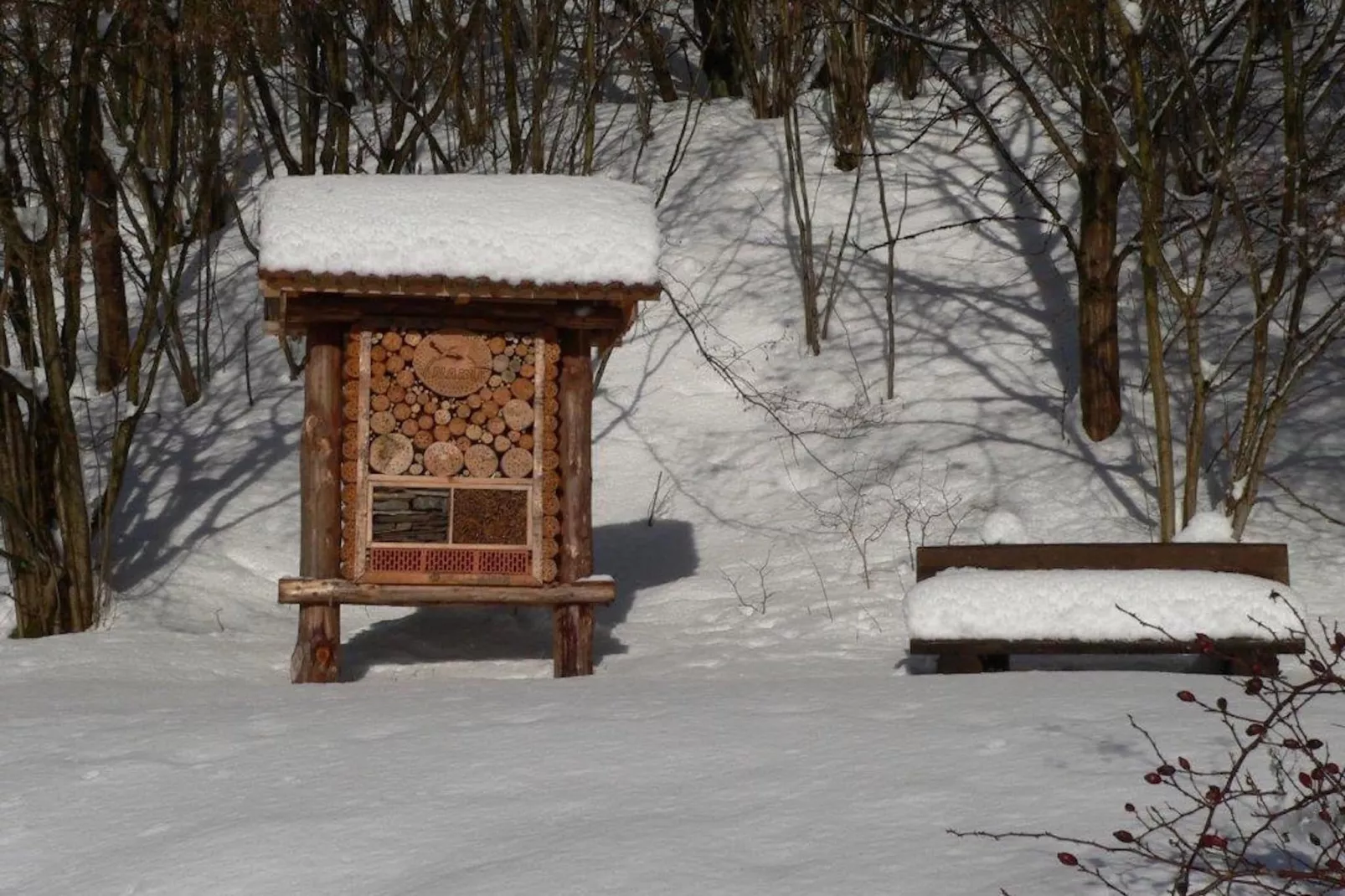 Sauerland-Area winter 1km
