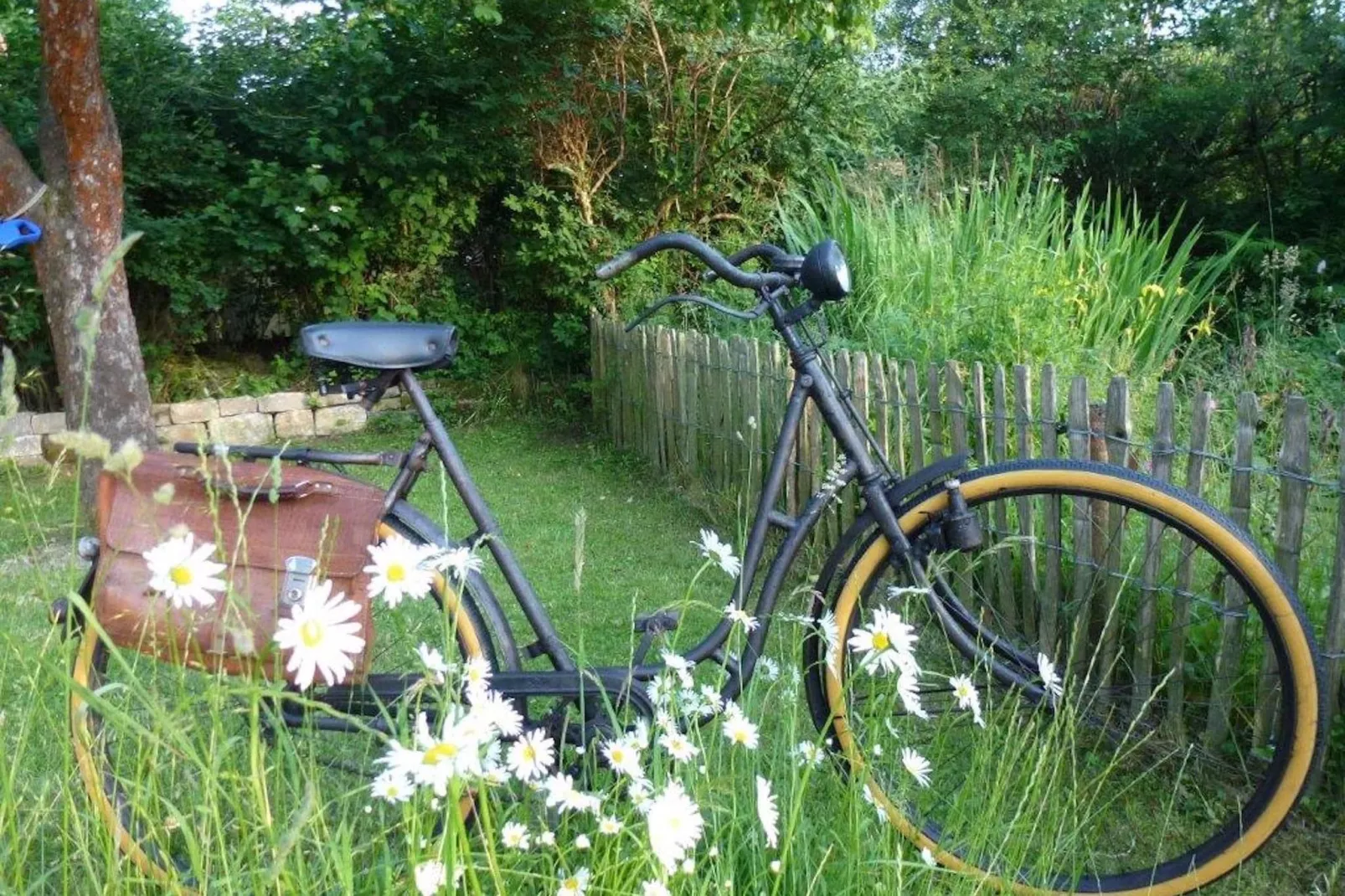Sauerland-Gardens summer