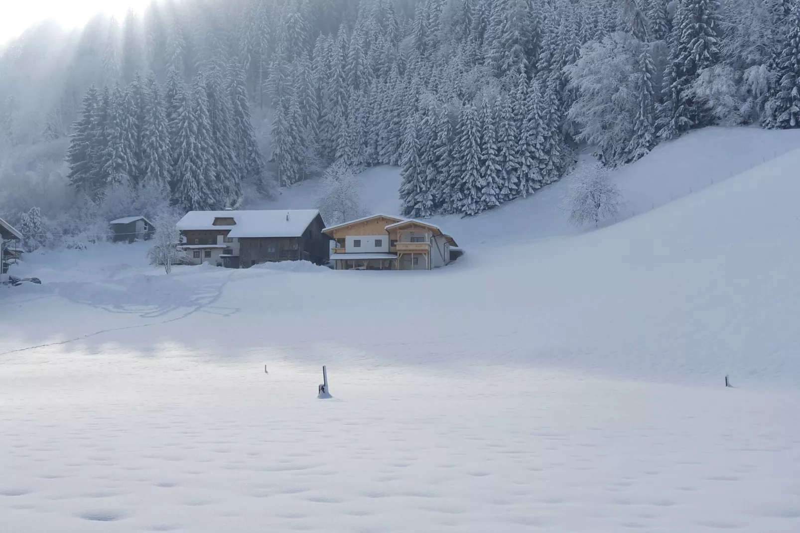 Reisrachhof - App 1-Exterior winter