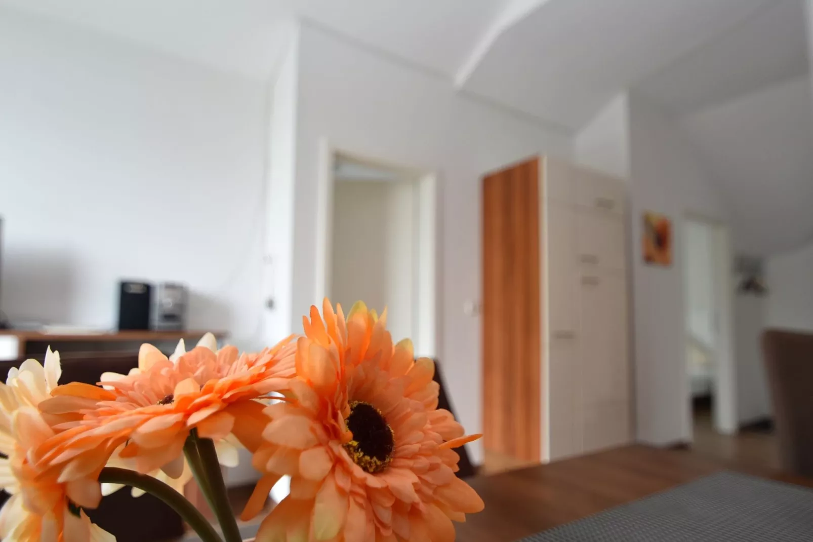Appartement Willingen-Palier