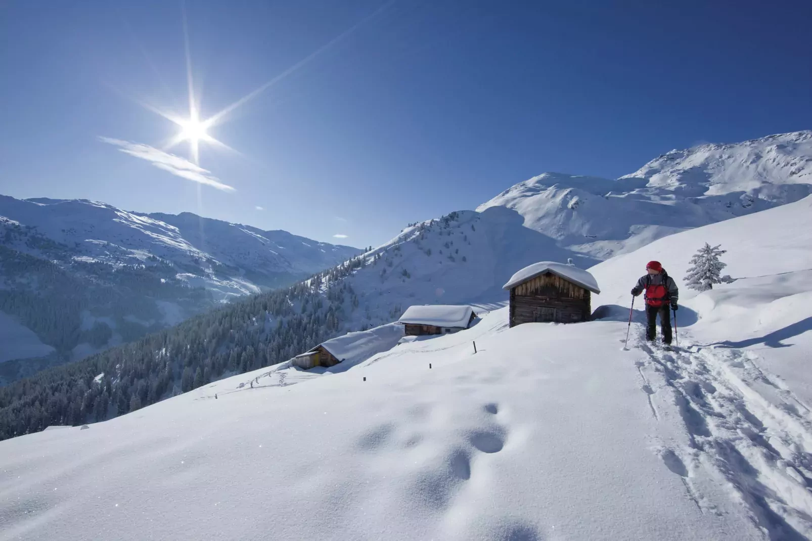 Apart Franz Josef - Top 5 oder 6-Area within 5km in winter
