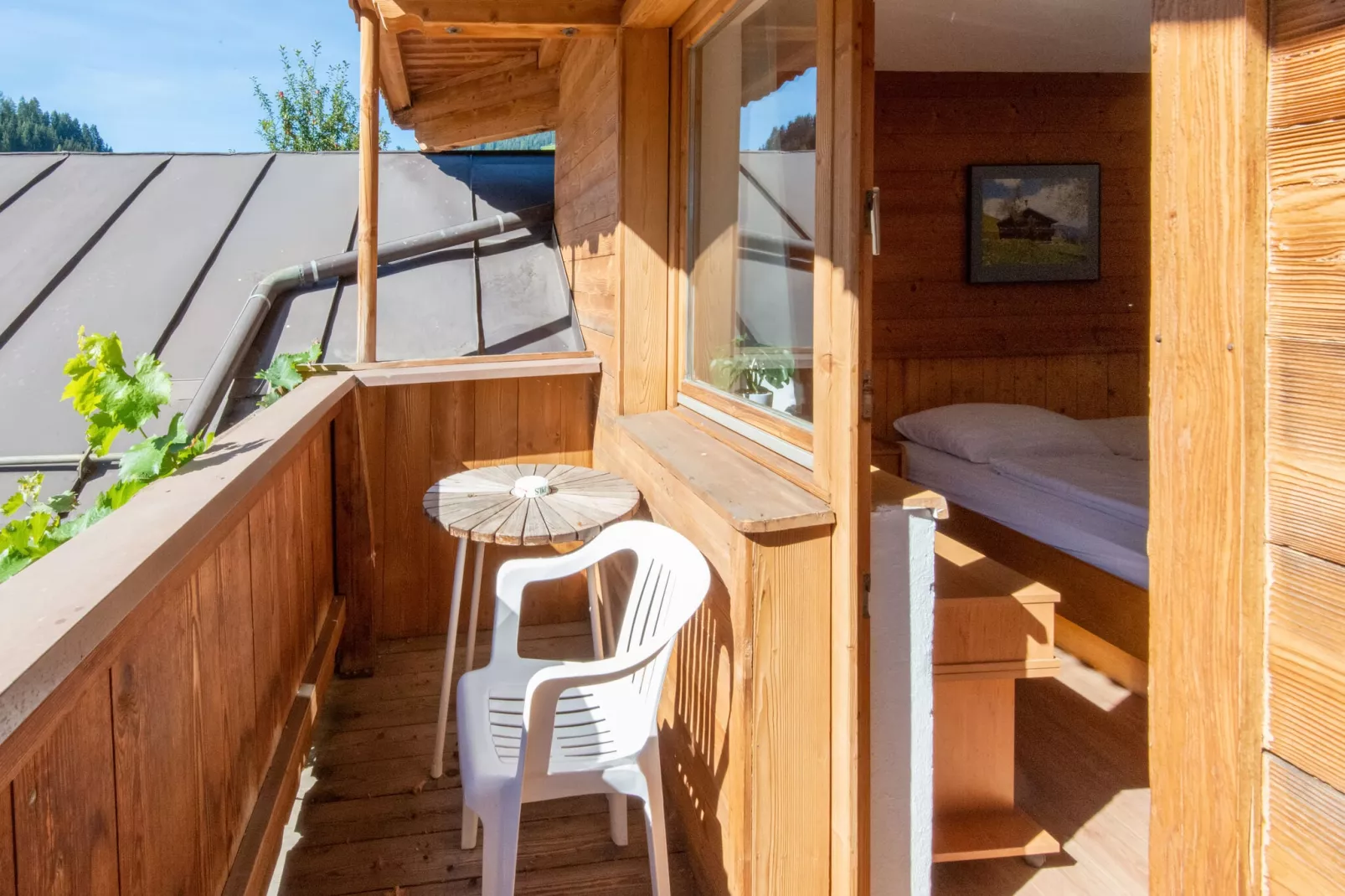 Apart Wildschönau 2-Schlafzimmer