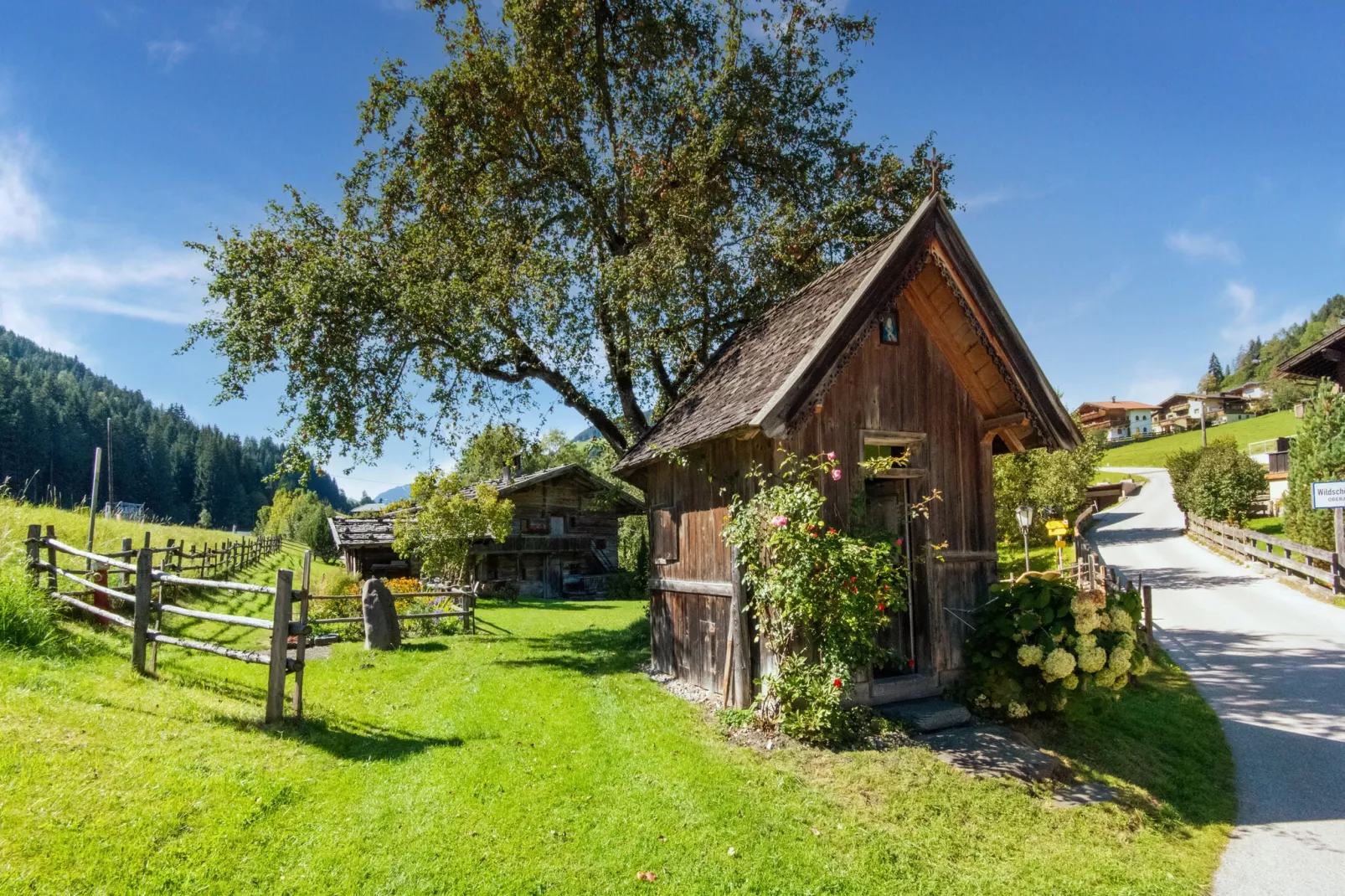 Apart Wildschönau 2-Aussicht Sommer