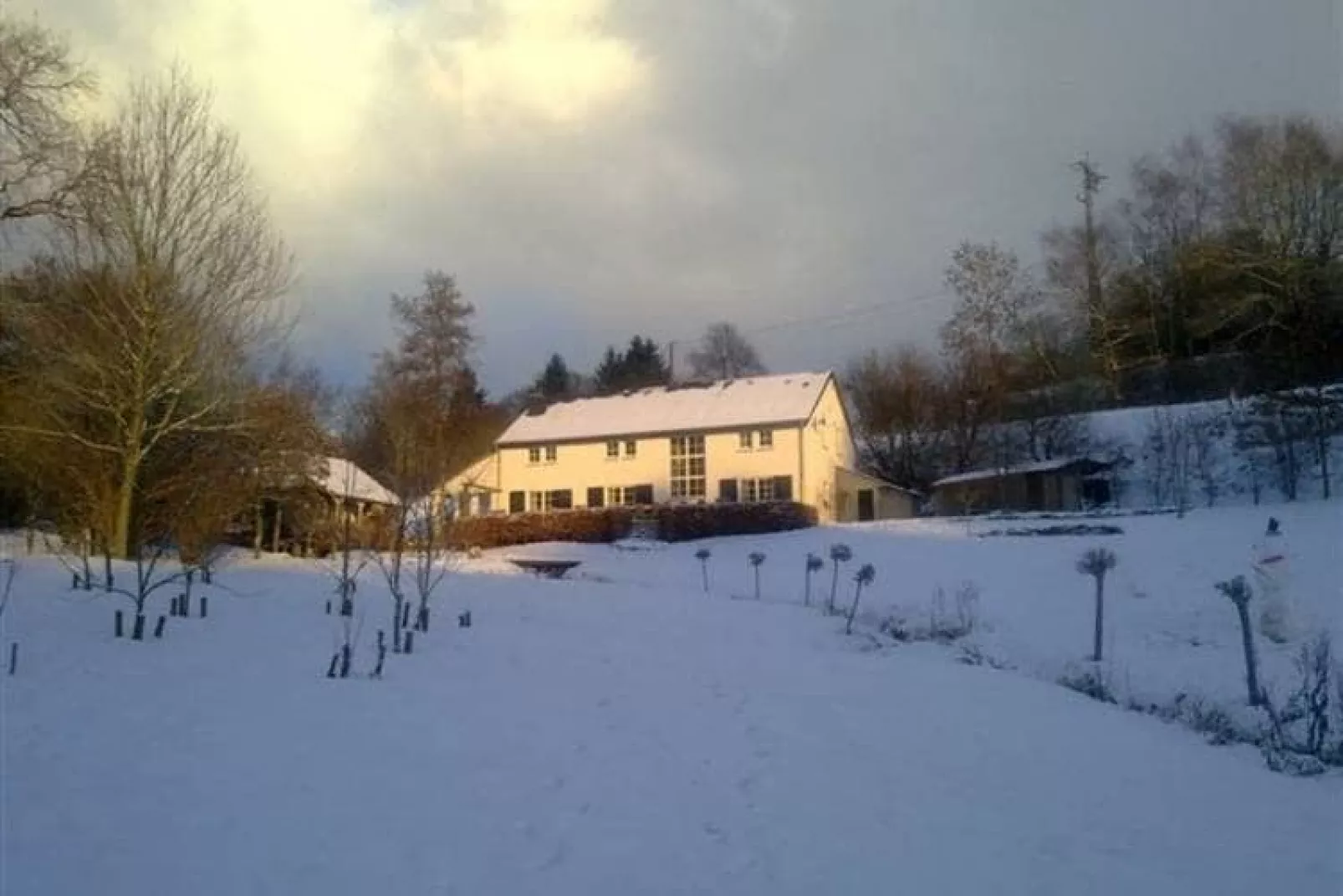 Fermina Daza-Exterior winter
