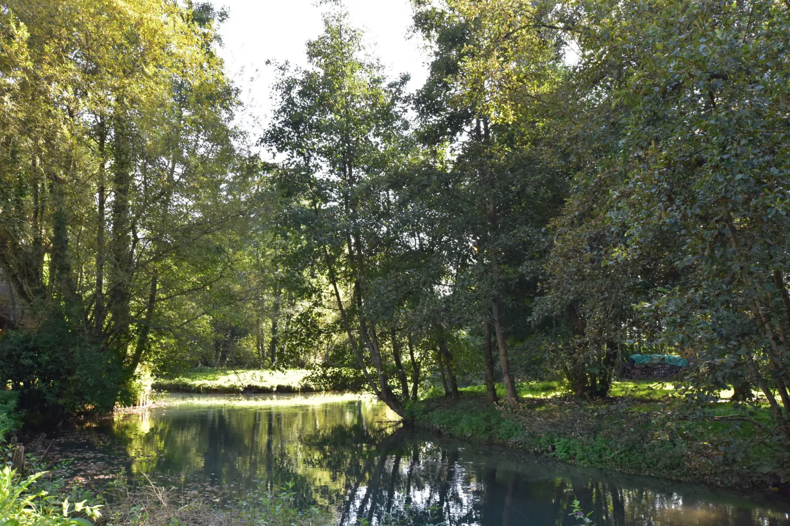 Maison Le Ponchel-Gardens summer