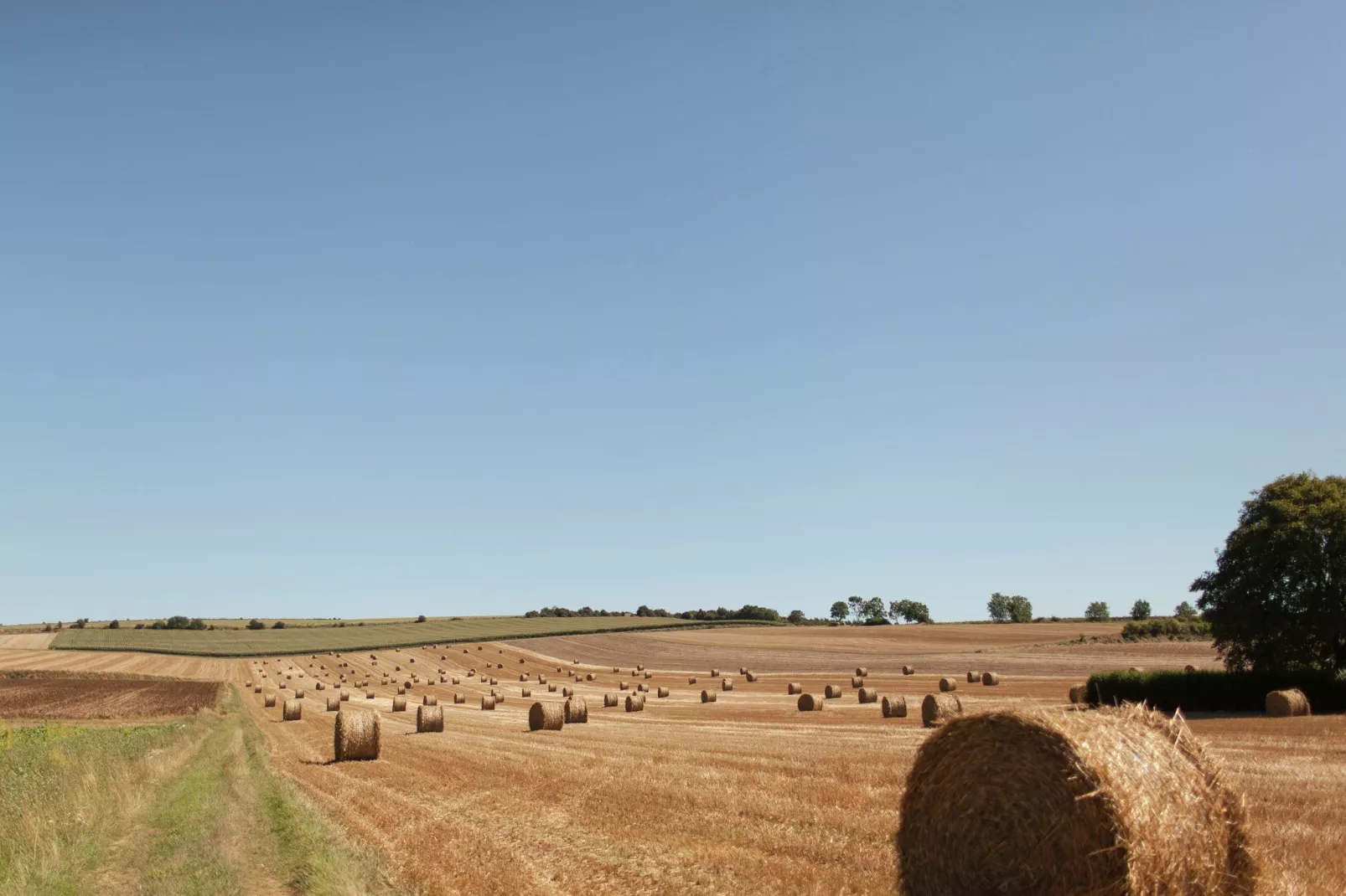 Maison Le Ponchel-Areas summer 1km