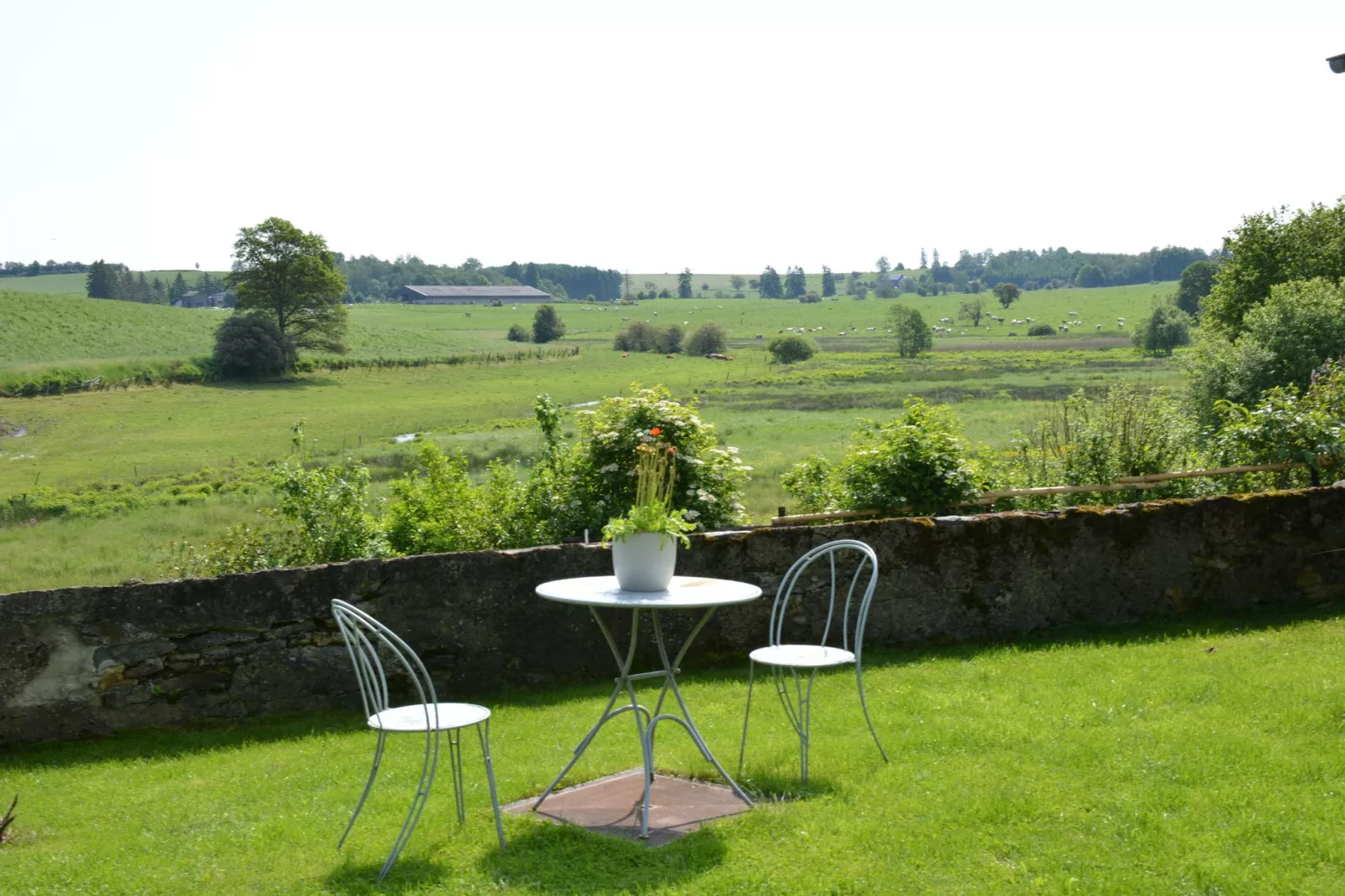 Coeur de Boeur-View summer
