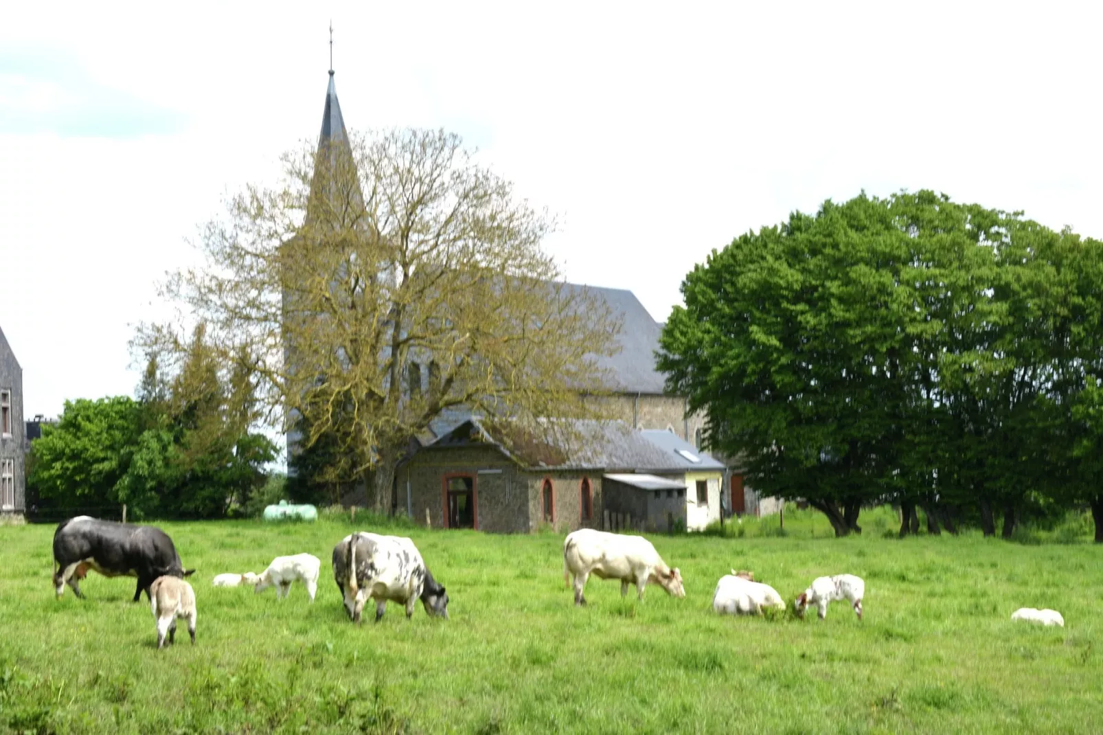 Coeur de Boeur-Areas summer 1km