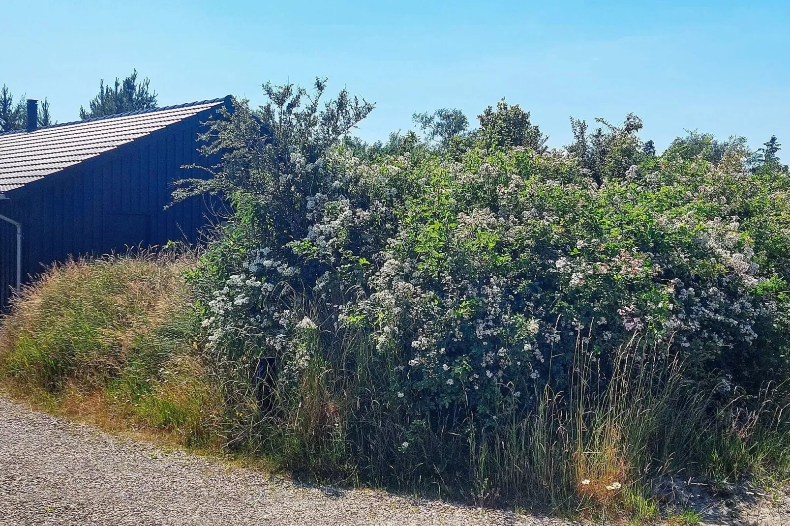 6 person holiday home in Jerup-Outdoor