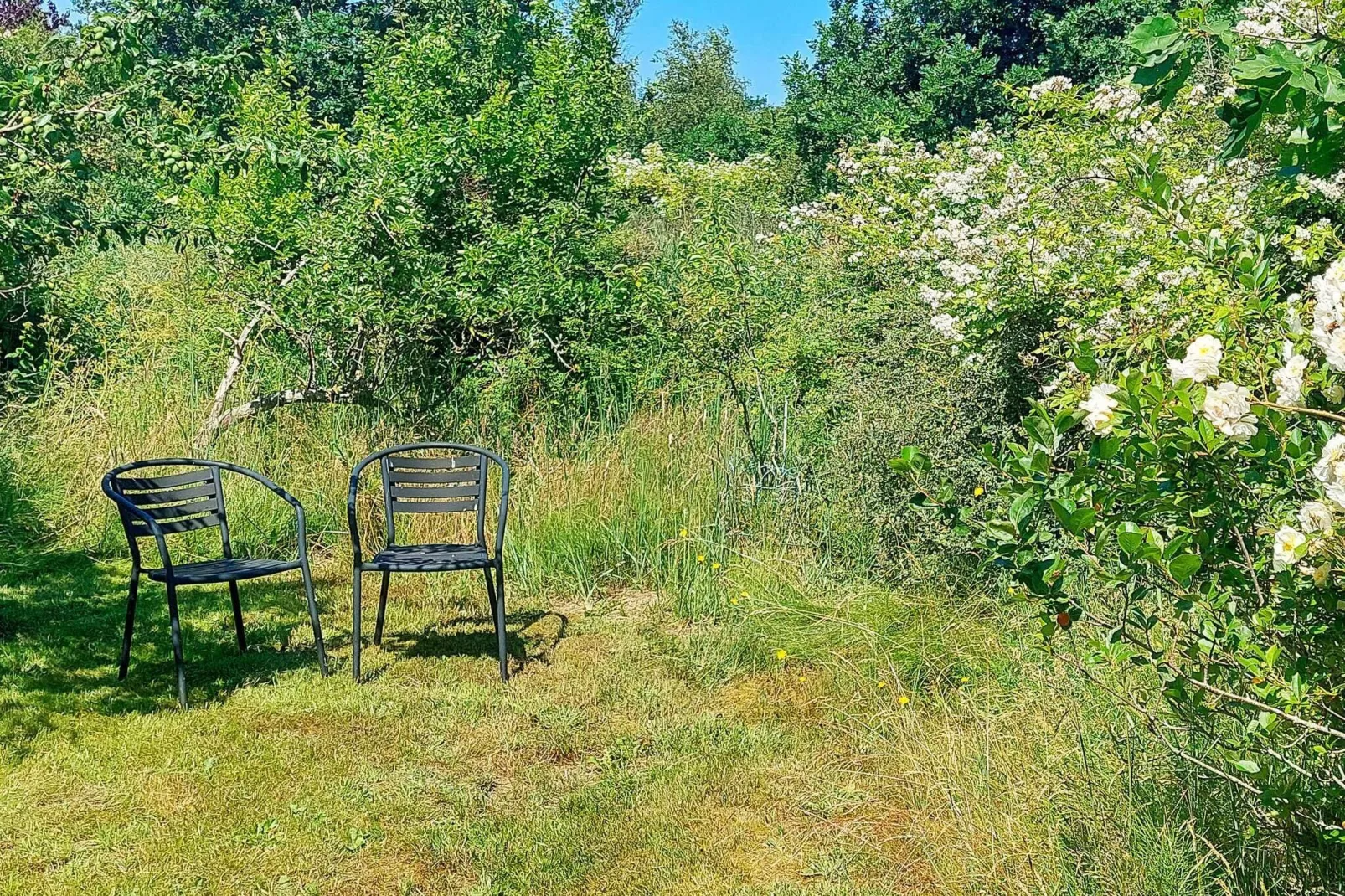 6 person holiday home in Jerup-View