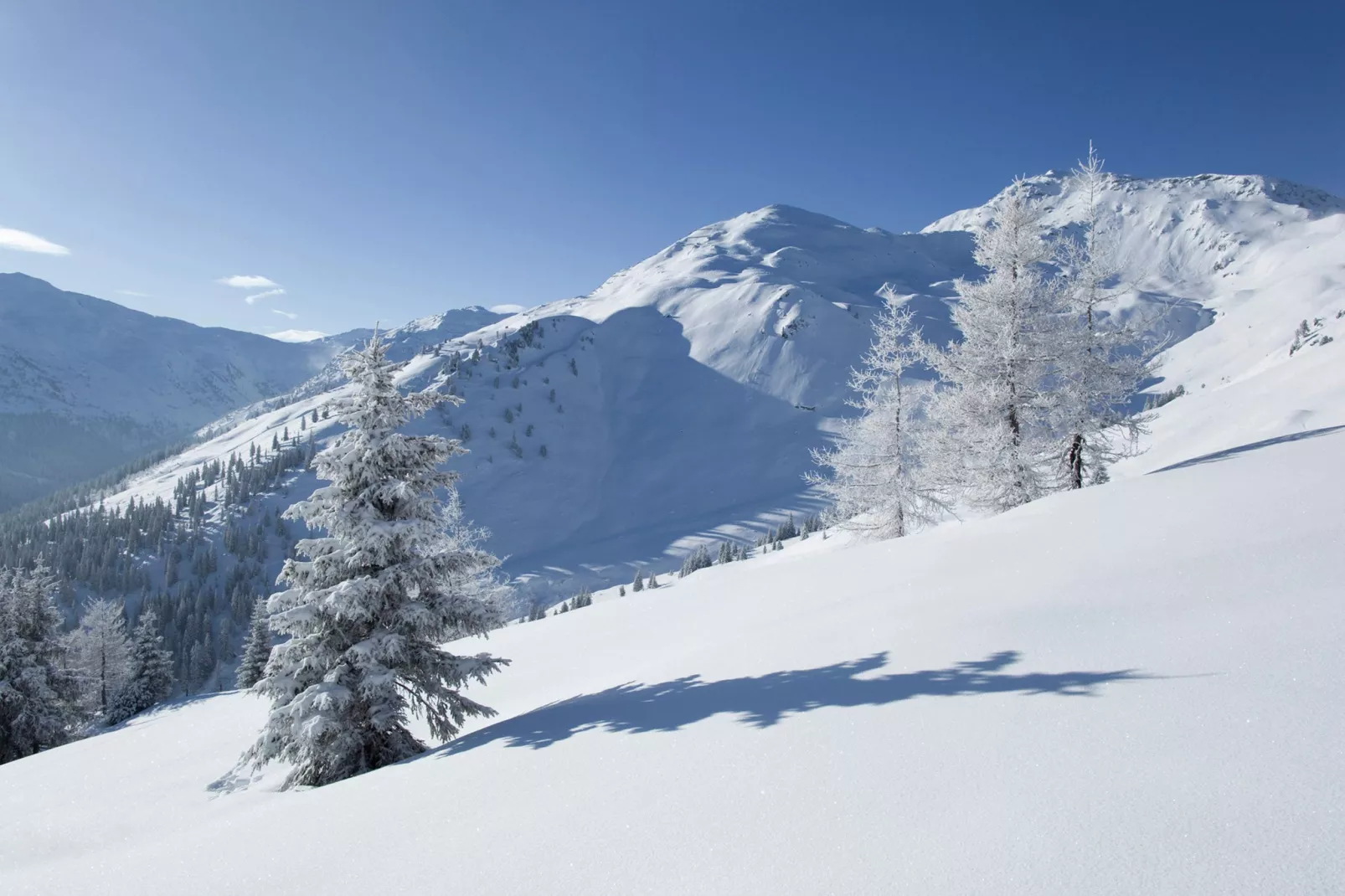 Apart Franz Josef - Top 1-Area winter 5km