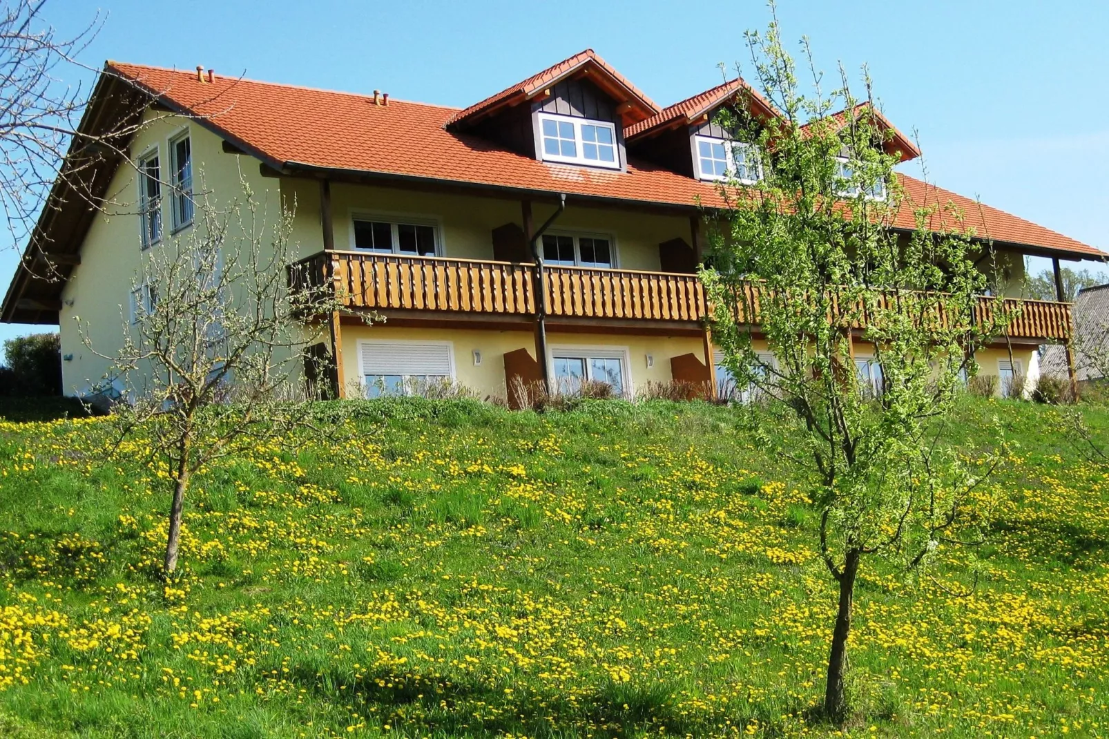 Am Ferienhof-Außenbereich Sommer