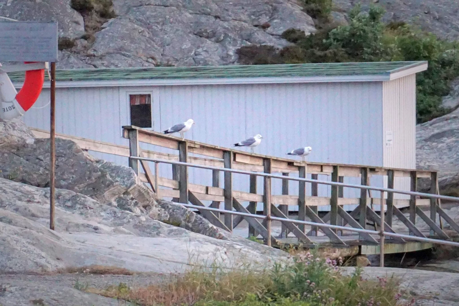 4 person holiday home in Smögen-Not tagged
