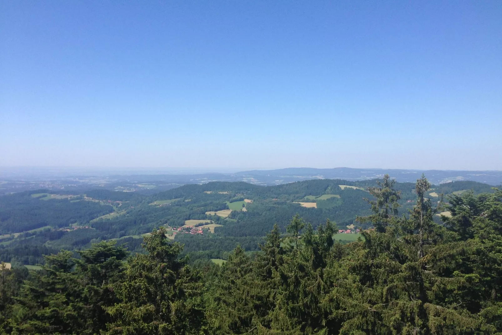 Im Bayerischen Wald-Areas summer 20km