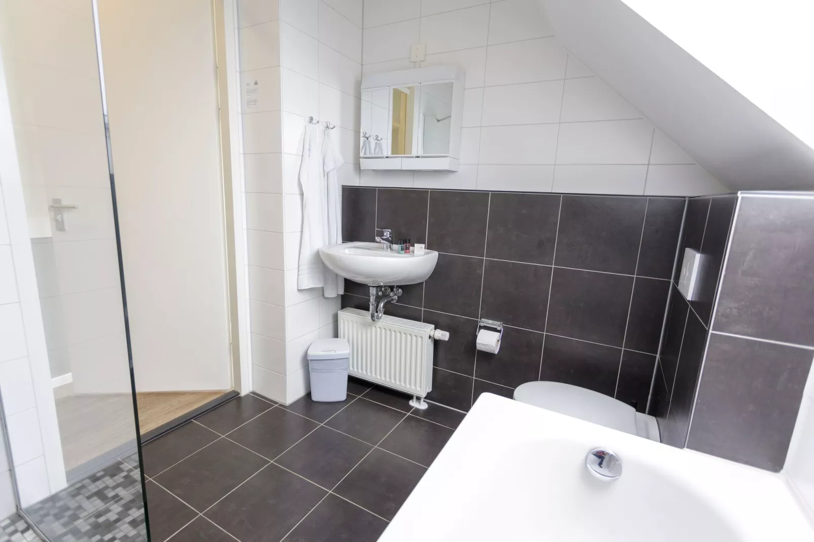 Resort Eifeler Tor 8-Bathroom