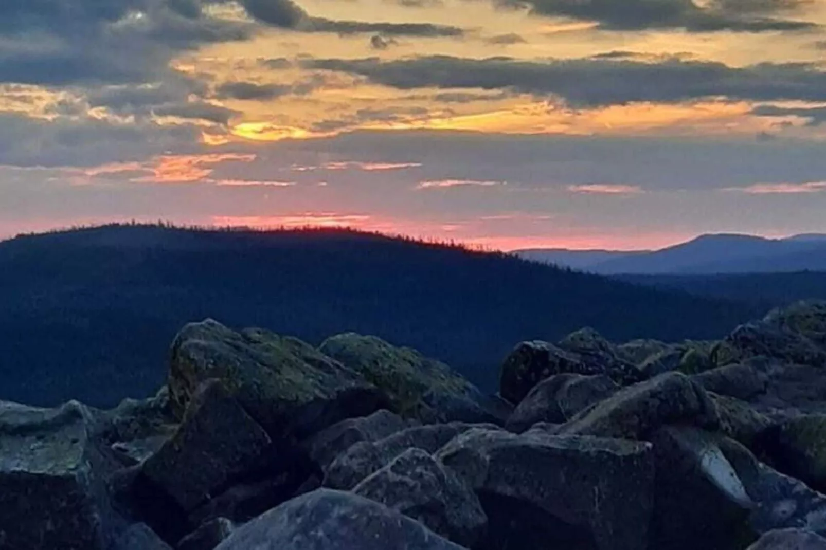 Im Bayerischen Wald-Areas summer 1km