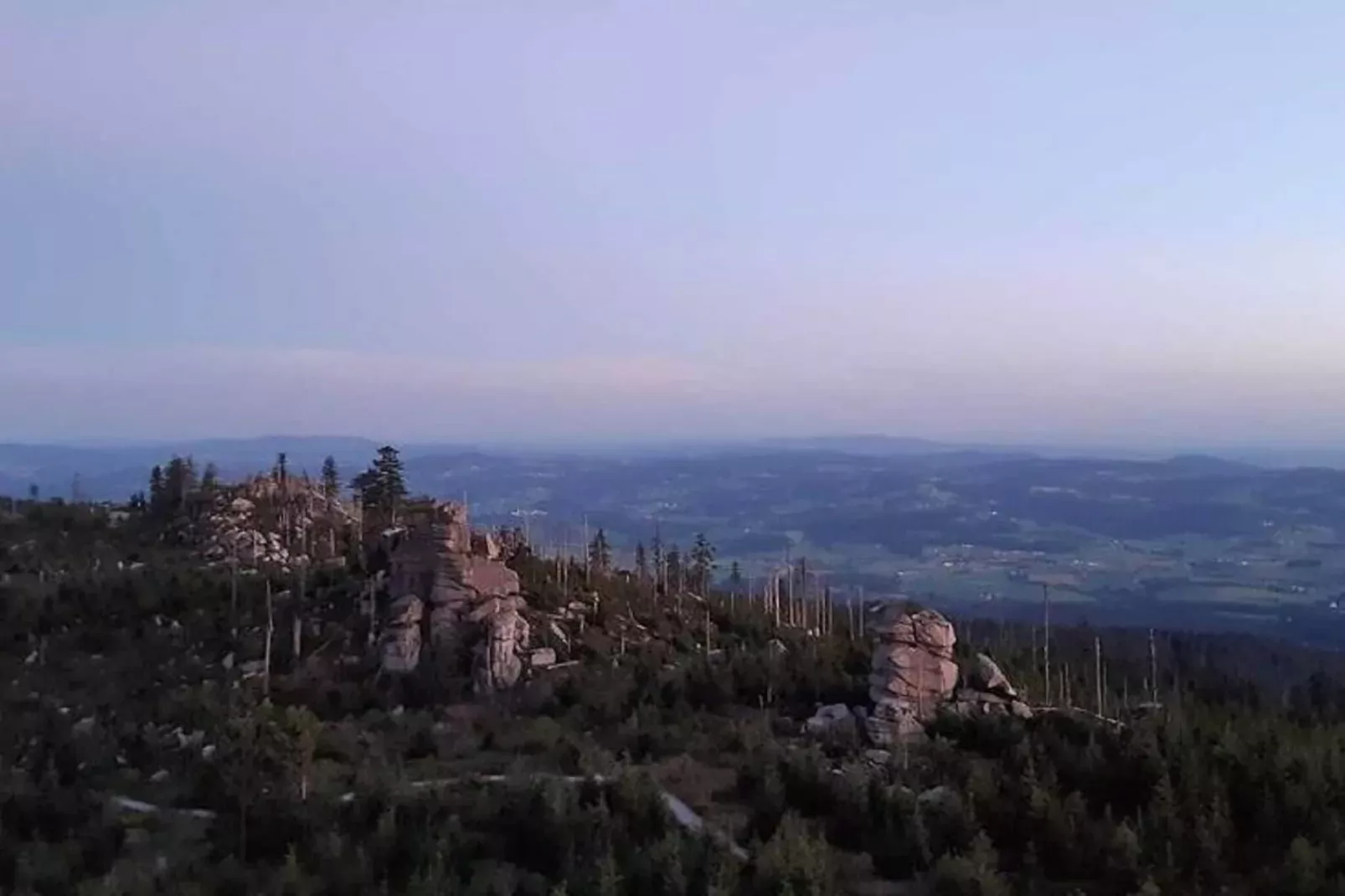 Im Bayerischen Wald-Areas summer 1km