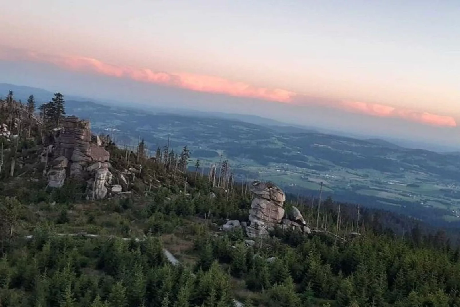Im Bayerischen Wald-Areas summer 1km