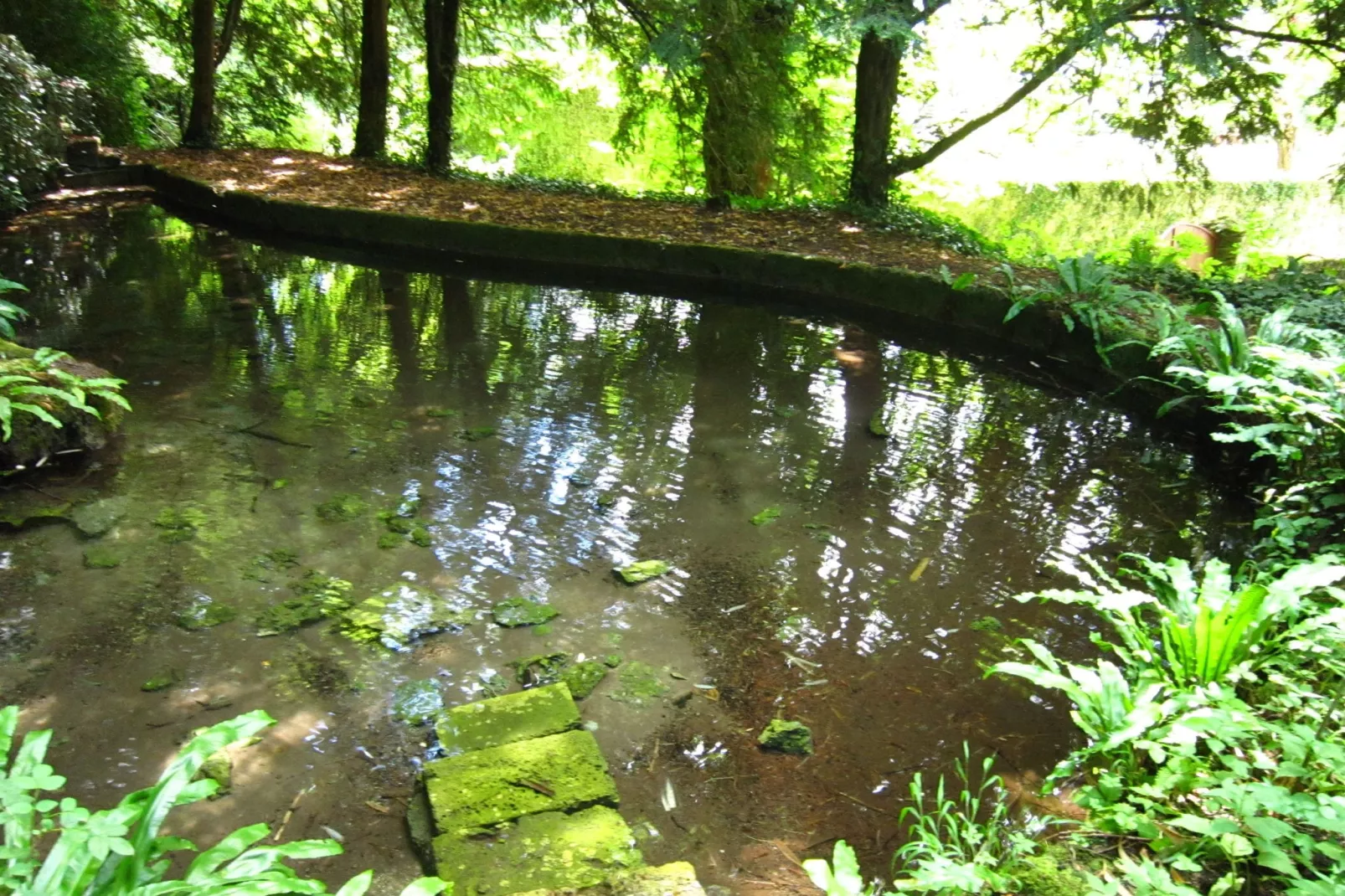 Mercure-Gardens summer
