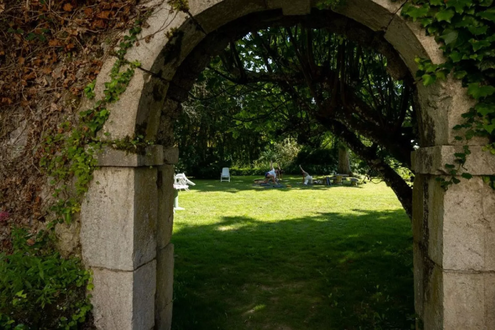 Mercure-Gardens summer