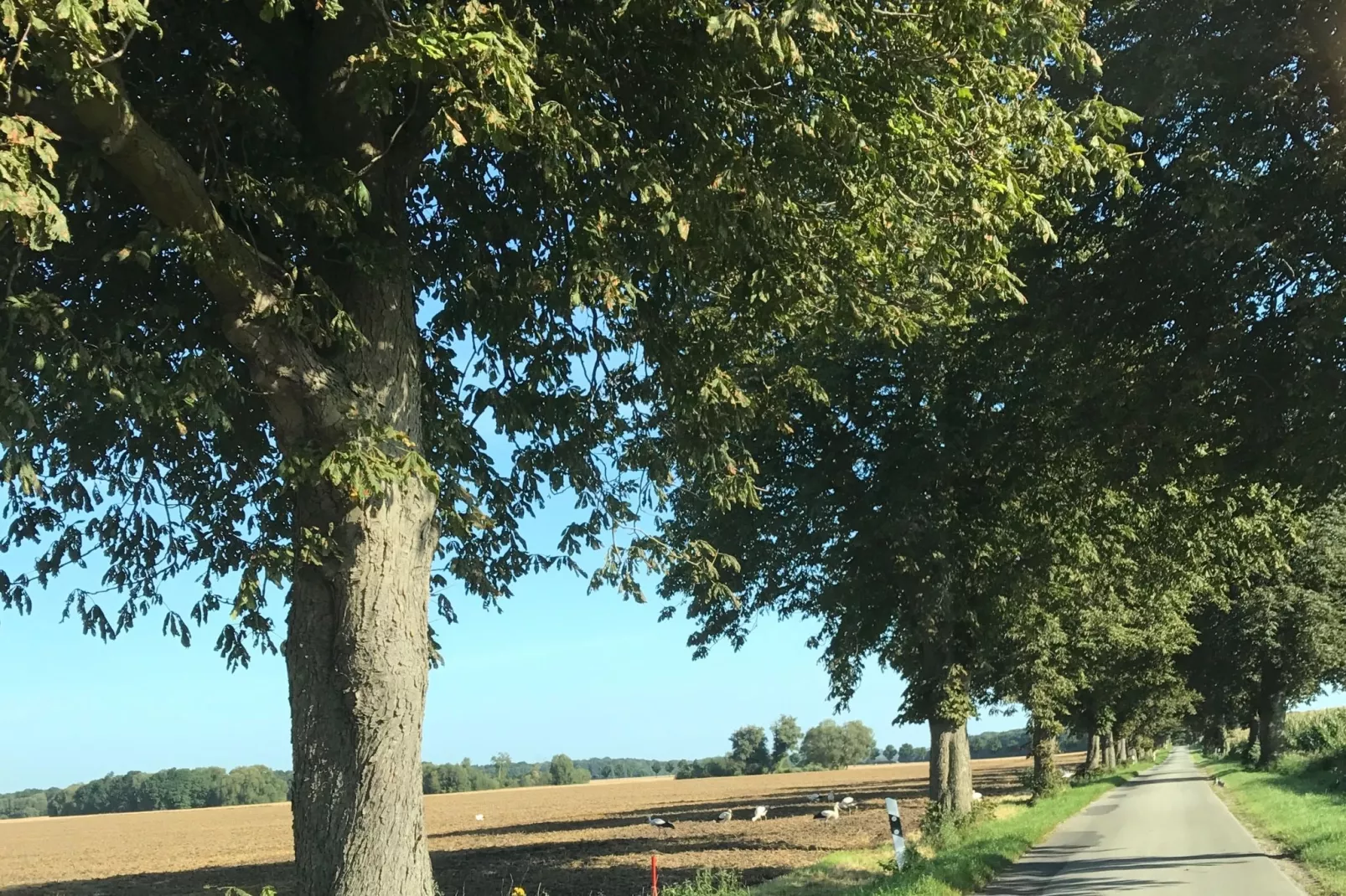 Komfortable Familienwohnung 2-Areas summer 5km