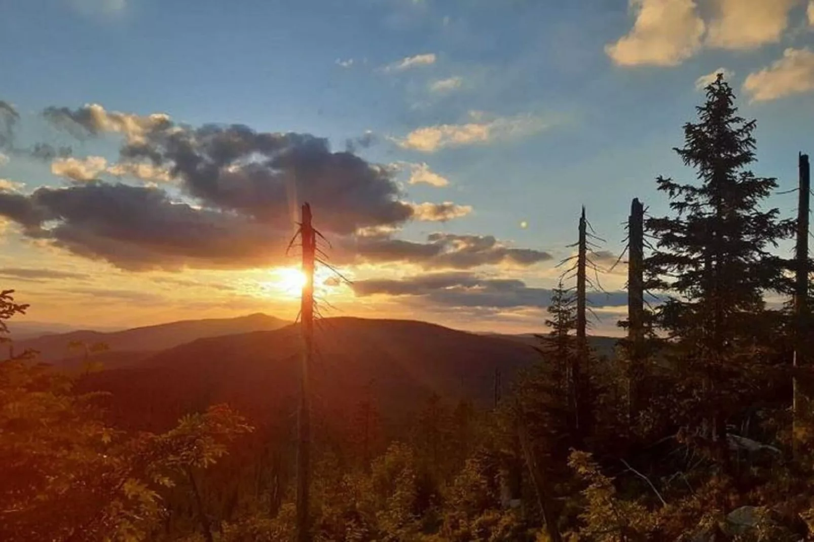 Im Bayerischen Wald-Areas within 1km in summer