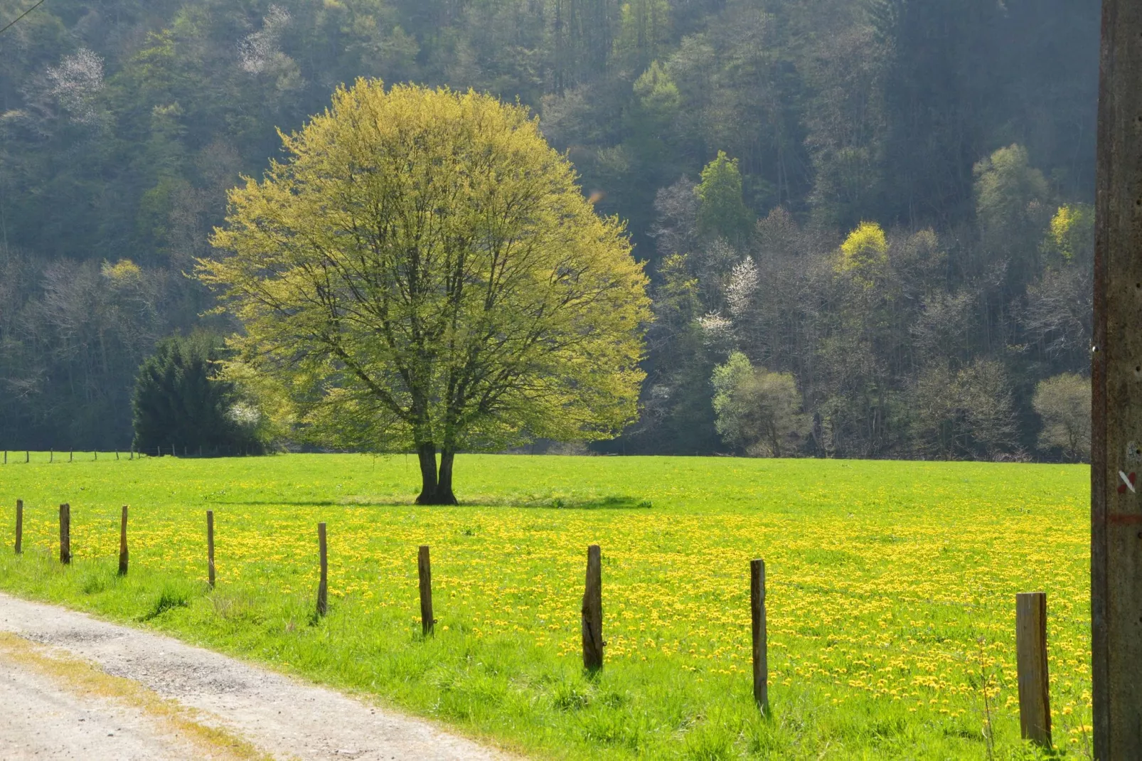 La Grange de Lesse-Zones d'été à 20 km
