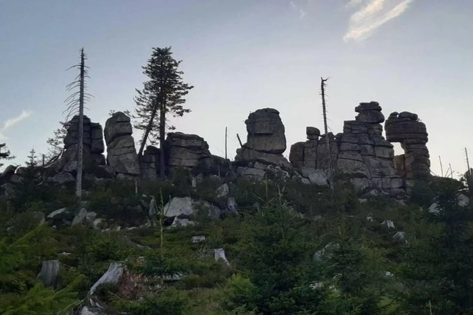 Im Bayerischen Wald-Areas within 1km in summer