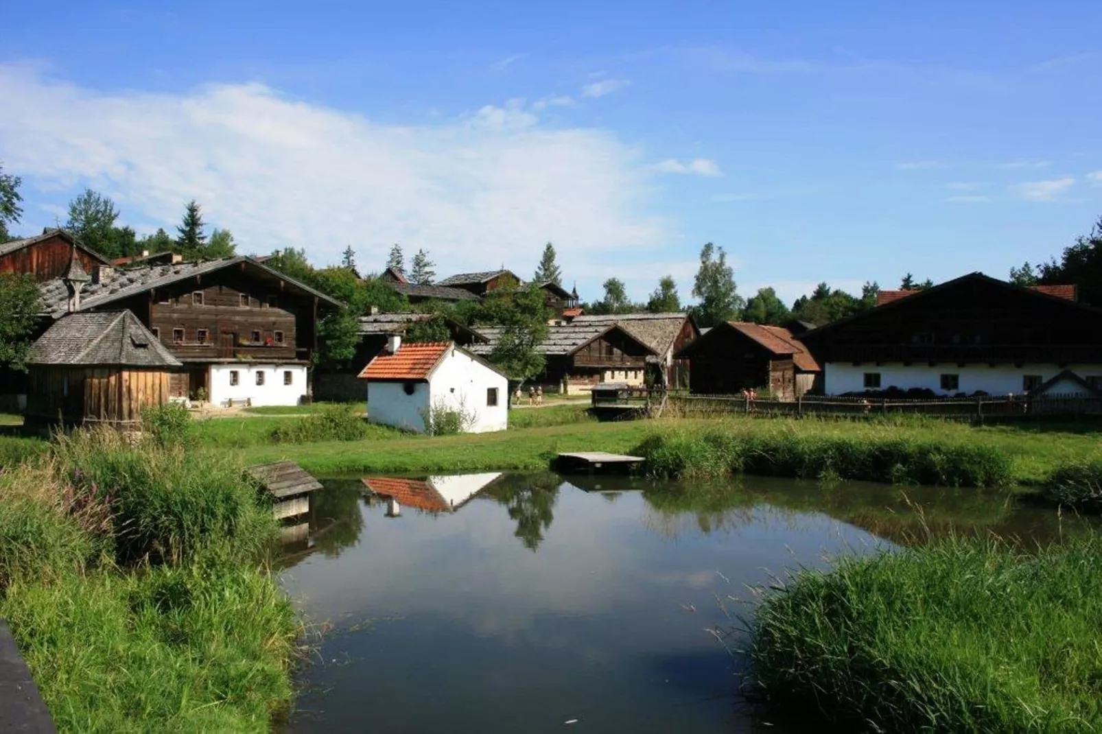 Im Bayerischen Wald-Areas within 5km in summer