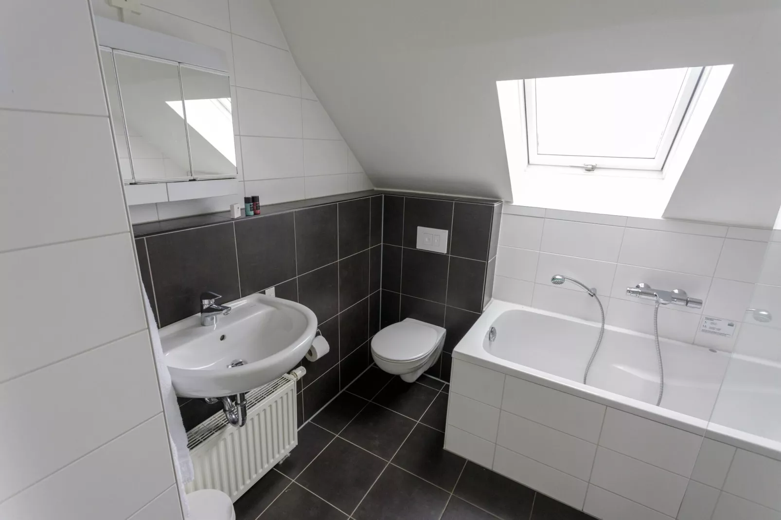 Resort Eifeler Tor 9-Bathroom