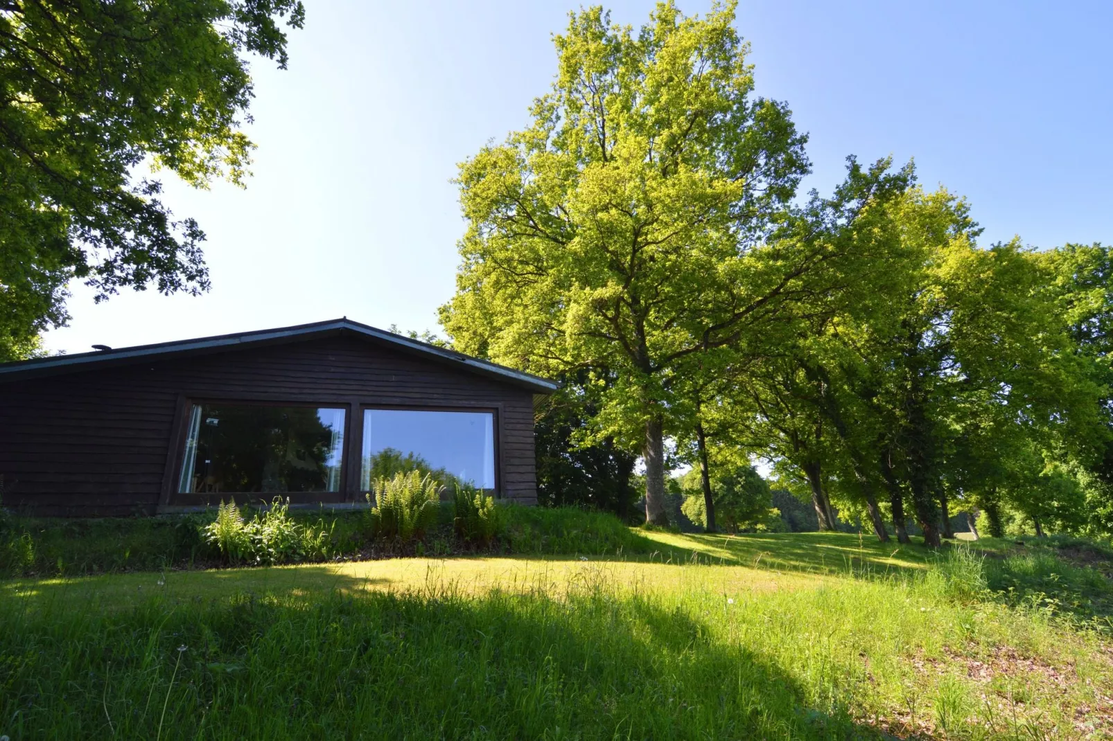 Cabane panoramique-Exterior summer