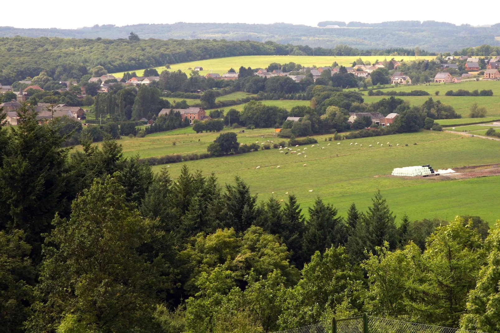 Cabane panoramique-View summer