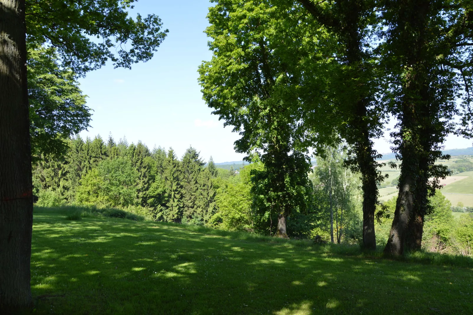 Cabane panoramique-Gardens summer