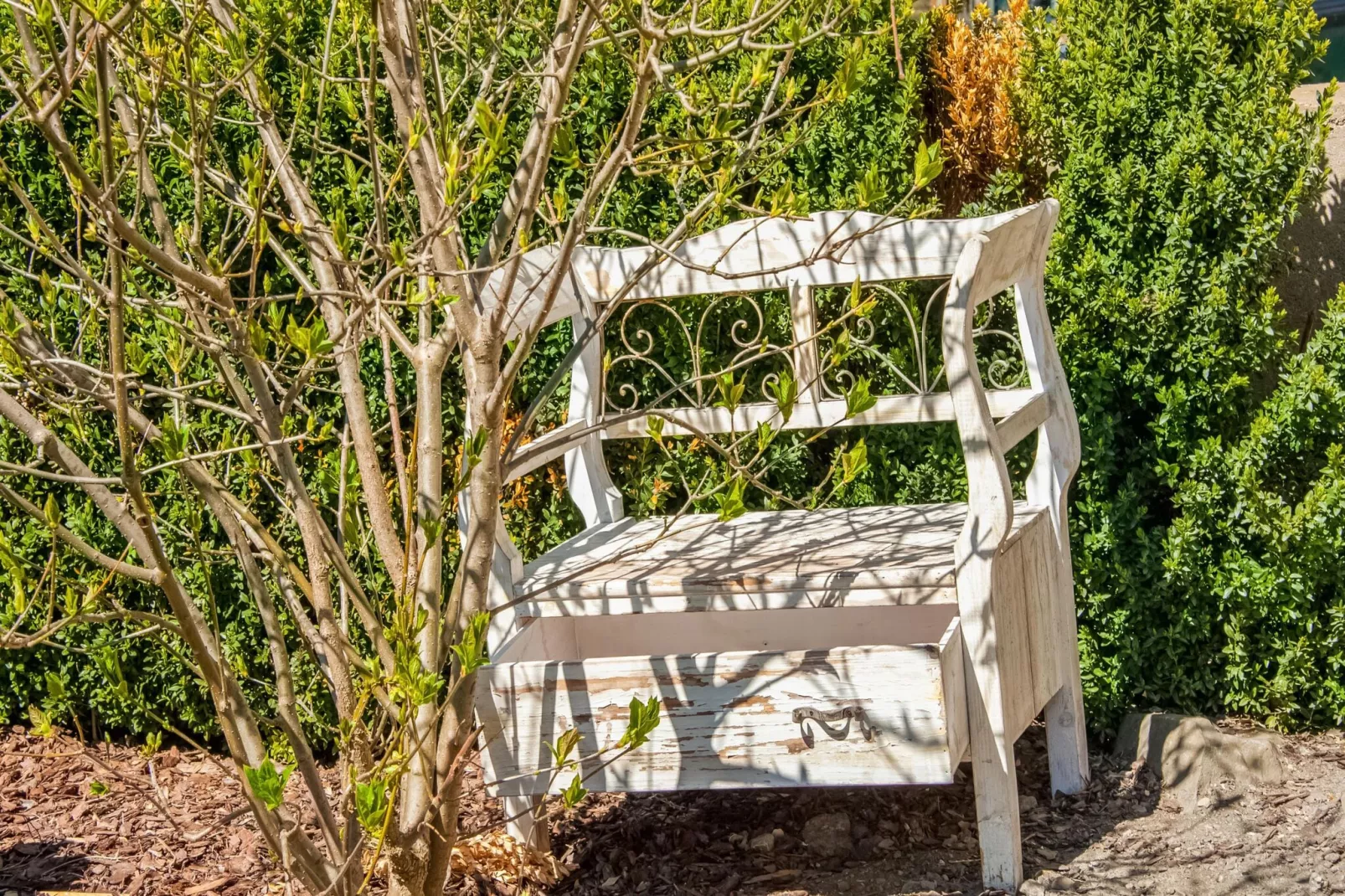 Apartment Zillertalblick-Ambiente