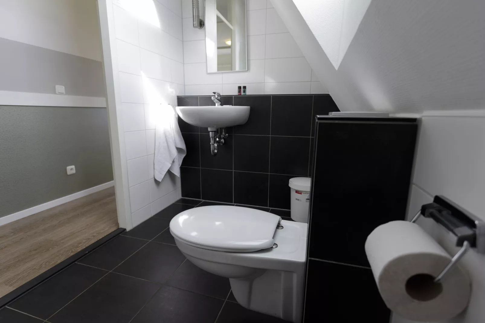 Resort Eifeler Tor 10-Badezimmer