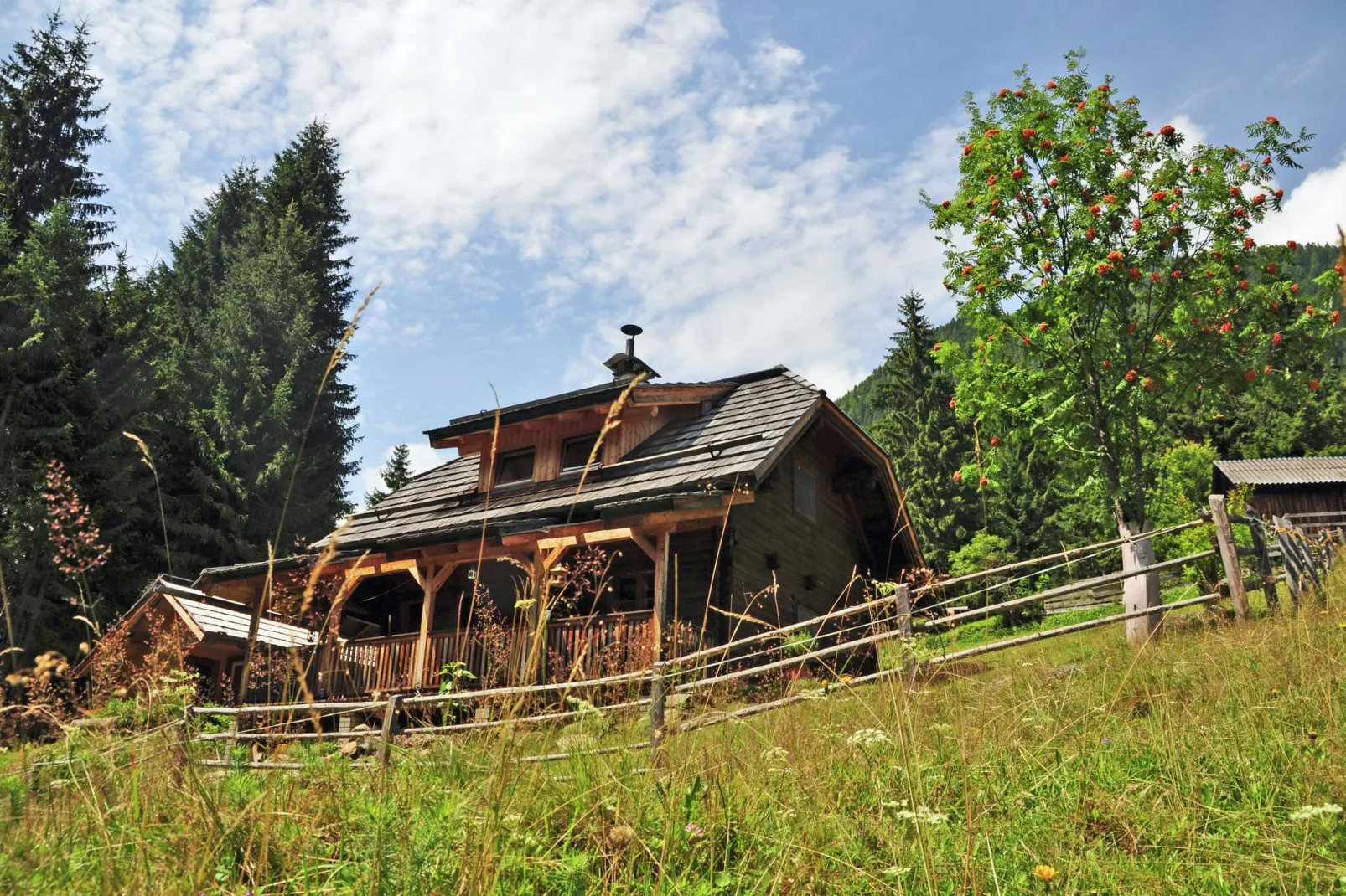 Almhütte im Walde-Exterior summer